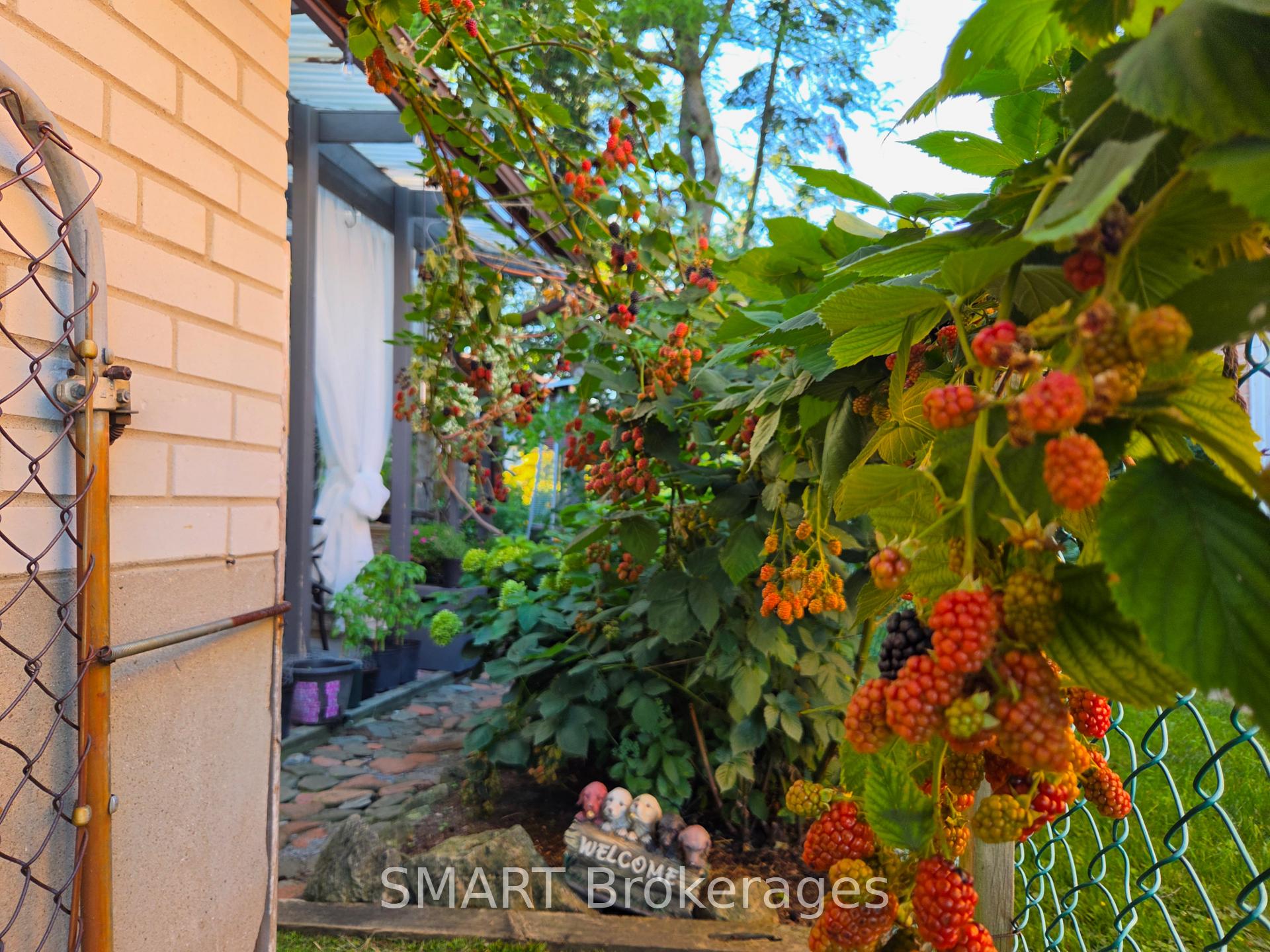 Photo 56 of 482 Ruth Avenue, North York, Newtonbrook East — HOMEH