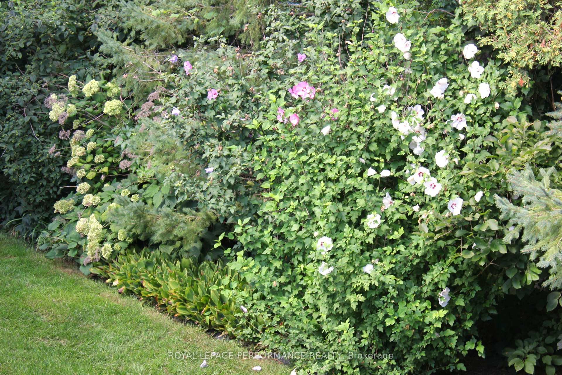 Photo 44 of 729 Iroquois Drive, Cornwall, Cornwall — HOMEH