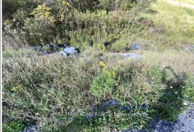 Photo 4 of PT Con 5 Pt Lot 5 Road, Madoc — HOMEH