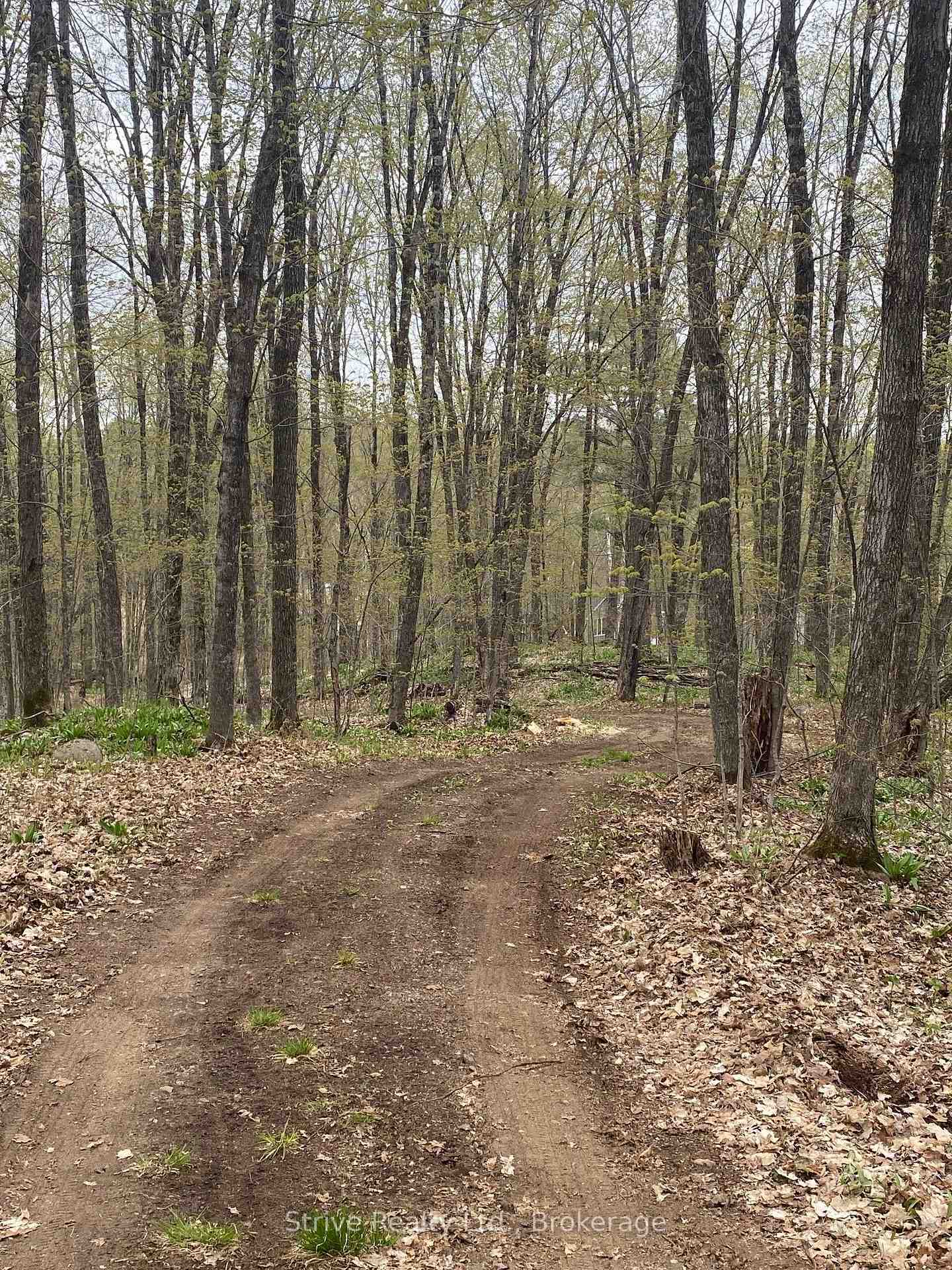 Photo 3 of Kendrick Creek Lane, Minden Hills, Minden — HOMEH
