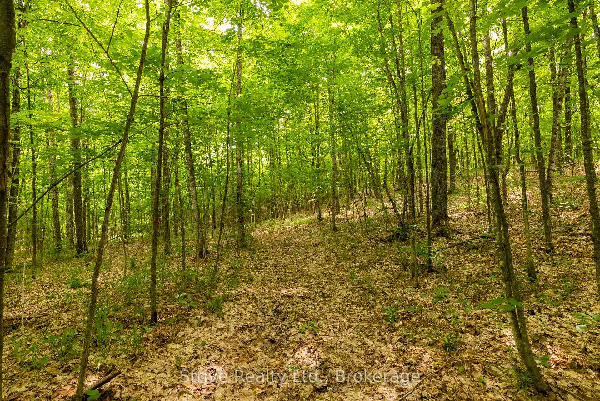 Photo 5 of Kendrick Creek Lane, Minden Hills, Minden — HOMEH