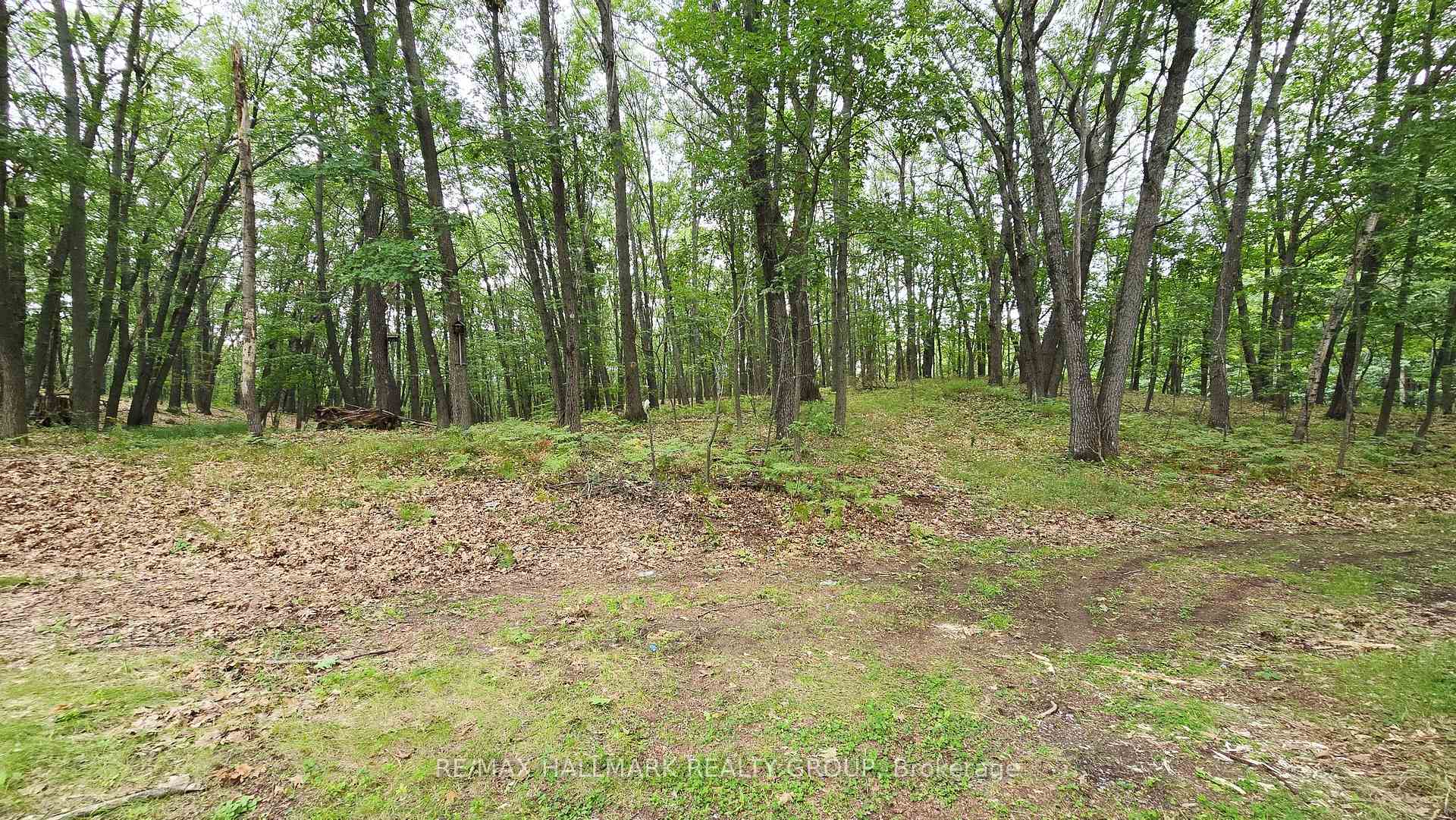 Photo 8 of 1153 Bayview Drive, Ottawa, Constance Bay — HOMEH