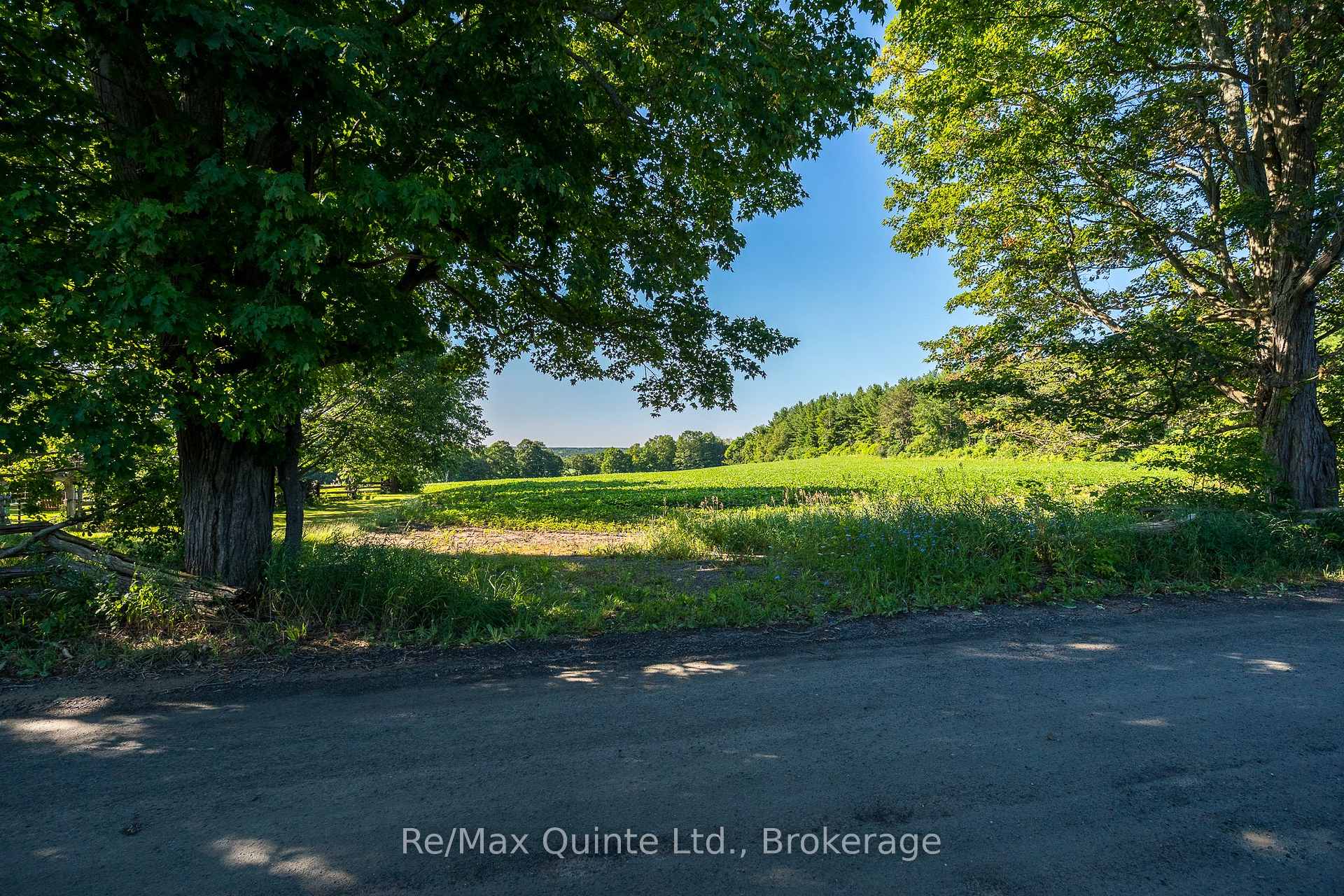 Photo 4 of Marrisett Road, Tweed, Hungerford (Twp) — HOMEH