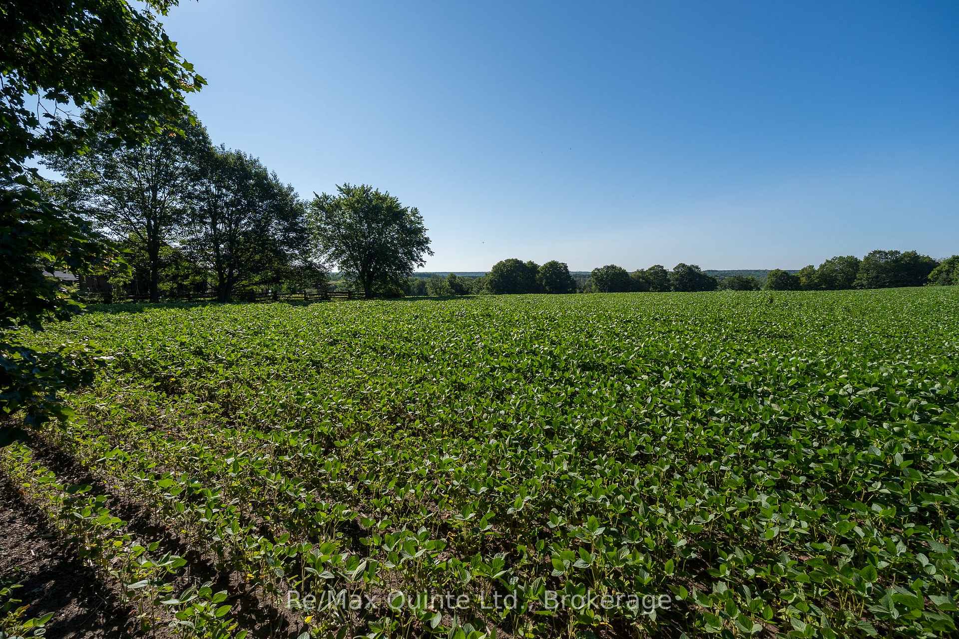 Photo 5 of Marrisett Road, Tweed, Hungerford (Twp) — HOMEH