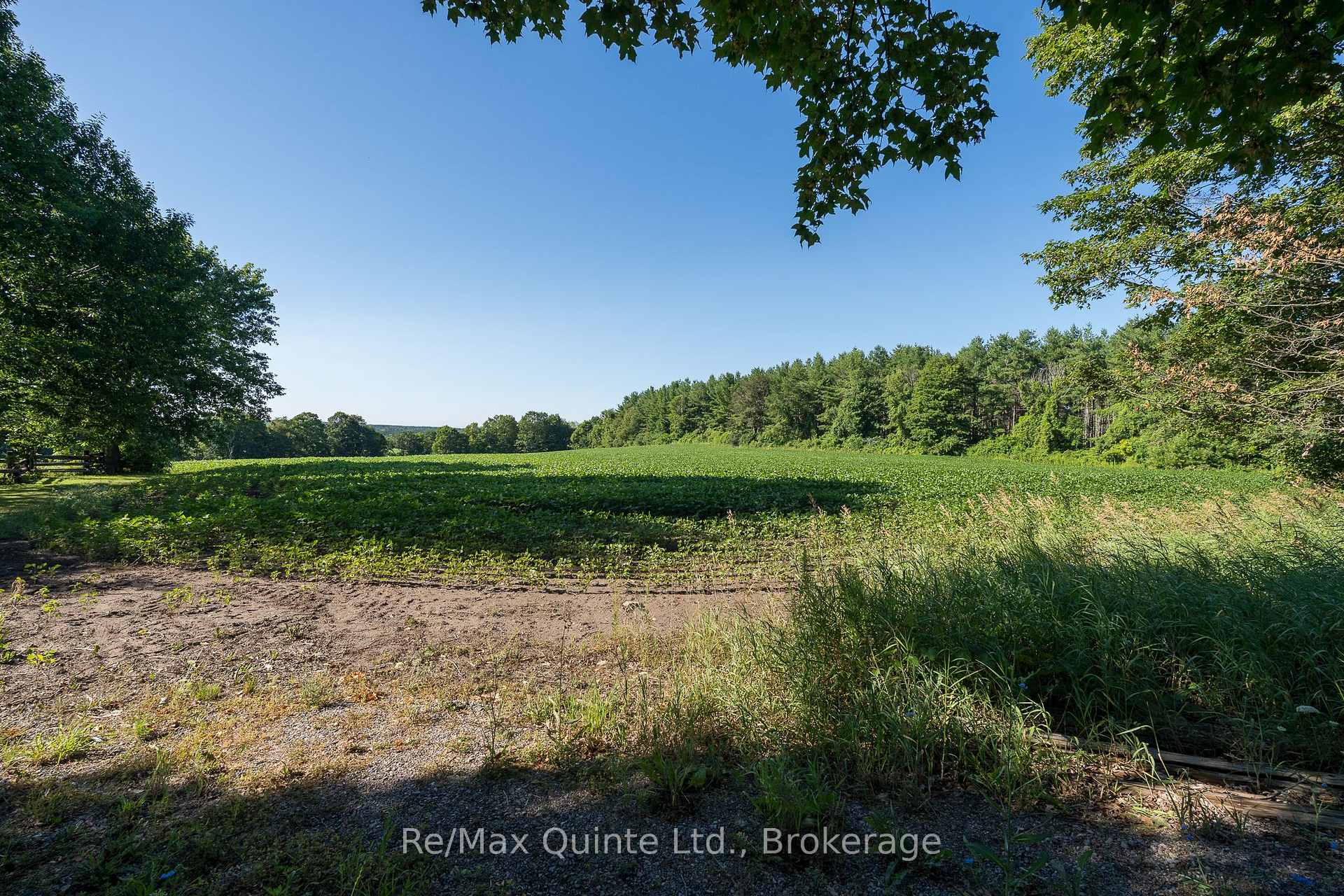 Photo 6 of Marrisett Road, Tweed, Hungerford (Twp) — HOMEH