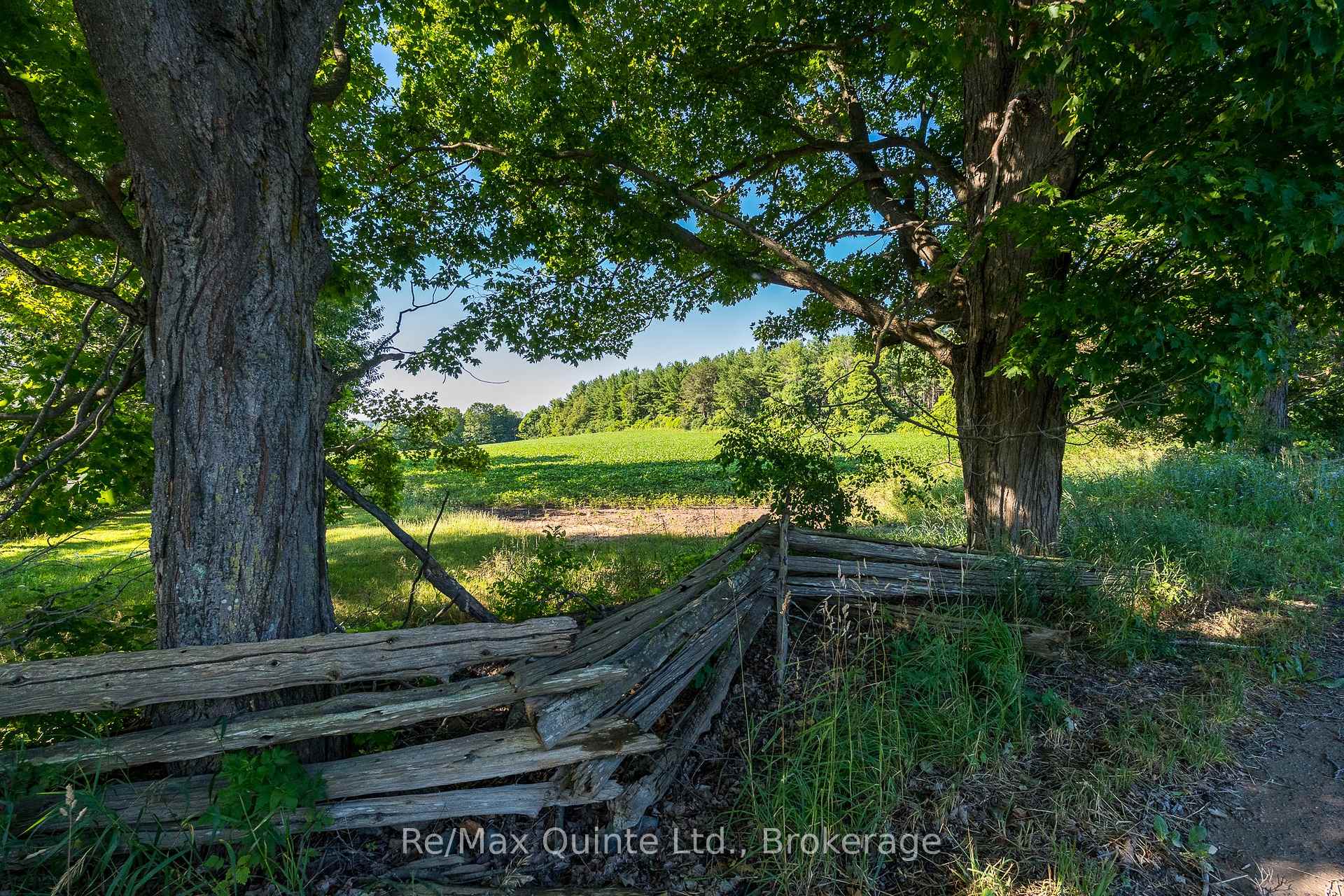 Photo 11 of Marrisett Road, Tweed, Hungerford (Twp) — HOMEH