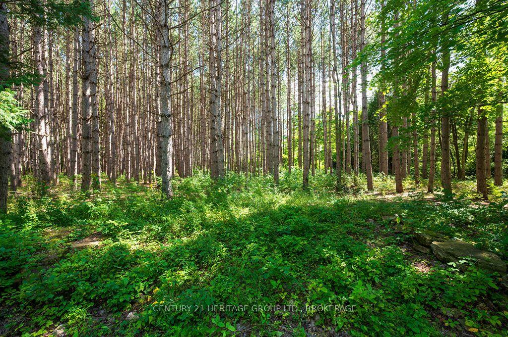 Photo 1 of 817 Powers Road, Tay Valley, Bathurst/Burgess & Sherbrooke (North Burgess) Twp — HOMEH