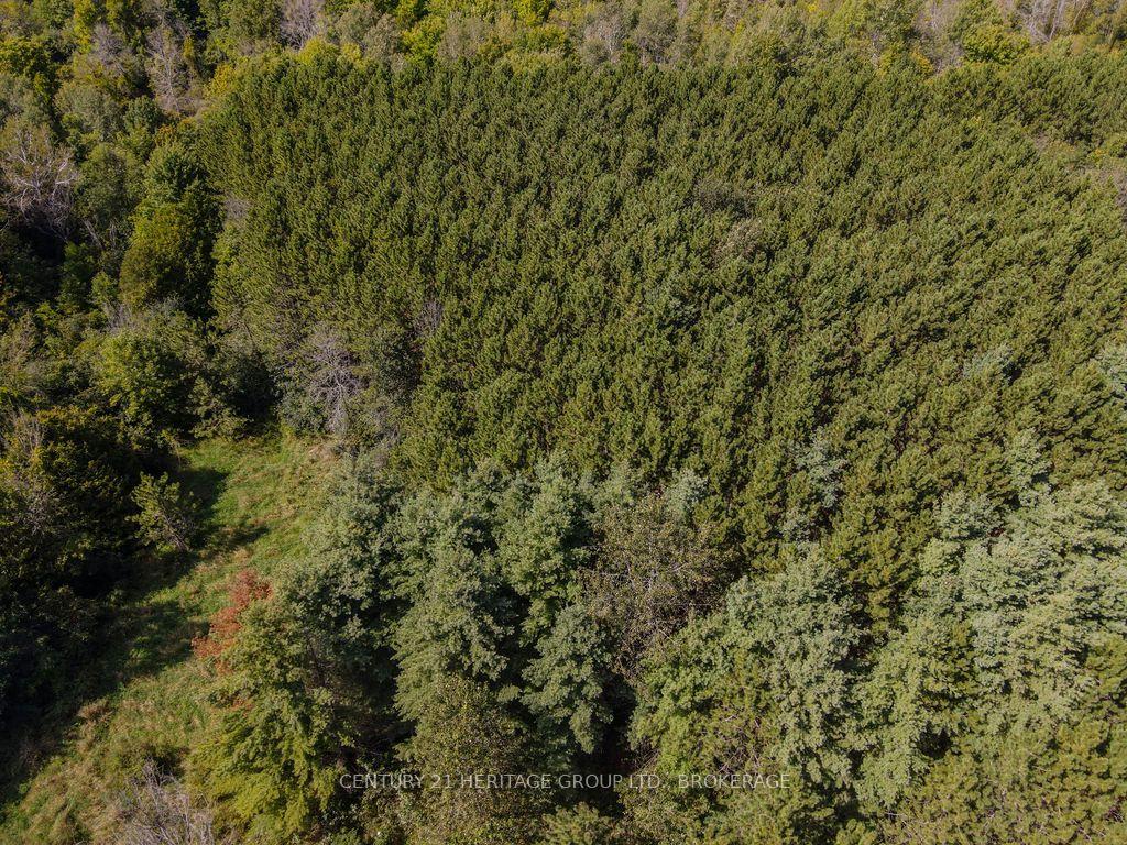 Photo 5 of 817 Powers Road, Tay Valley, Bathurst/Burgess & Sherbrooke (North Burgess) Twp — HOMEH