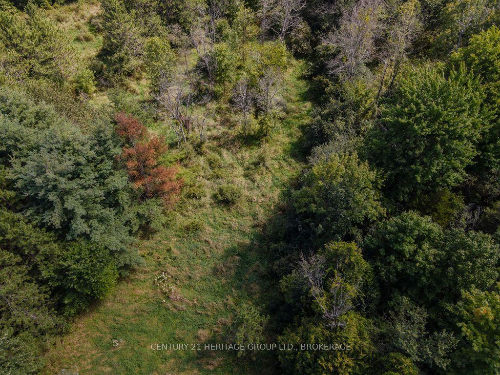 Photo 8 of 817 Powers Road, Tay Valley, Bathurst/Burgess & Sherbrooke (North Burgess) Twp — HOMEH