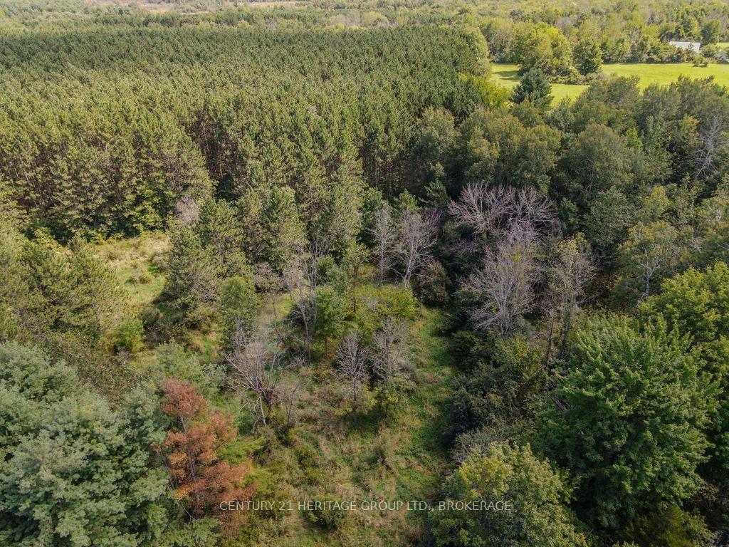 Photo 9 of 817 Powers Road, Tay Valley, Bathurst/Burgess & Sherbrooke (North Burgess) Twp — HOMEH