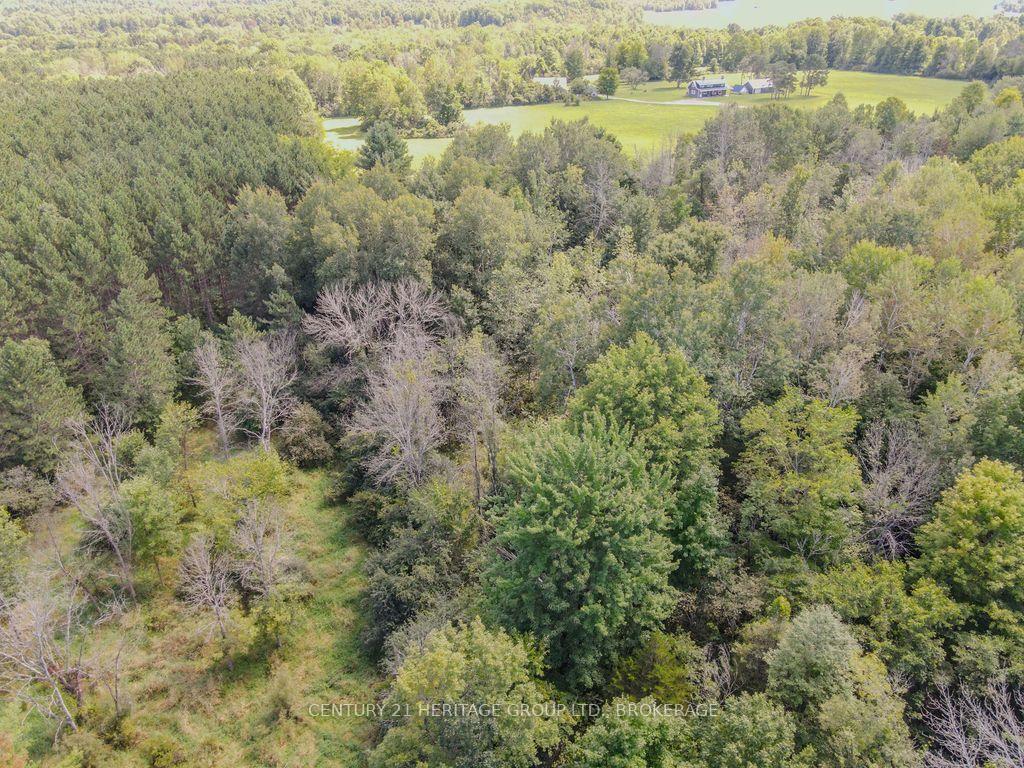 Photo 10 of 817 Powers Road, Tay Valley, Bathurst/Burgess & Sherbrooke (North Burgess) Twp — HOMEH