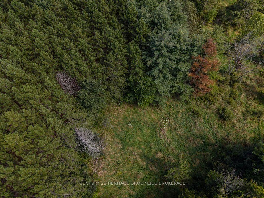 Photo 12 of 817 Powers Road, Tay Valley, Bathurst/Burgess & Sherbrooke (North Burgess) Twp — HOMEH