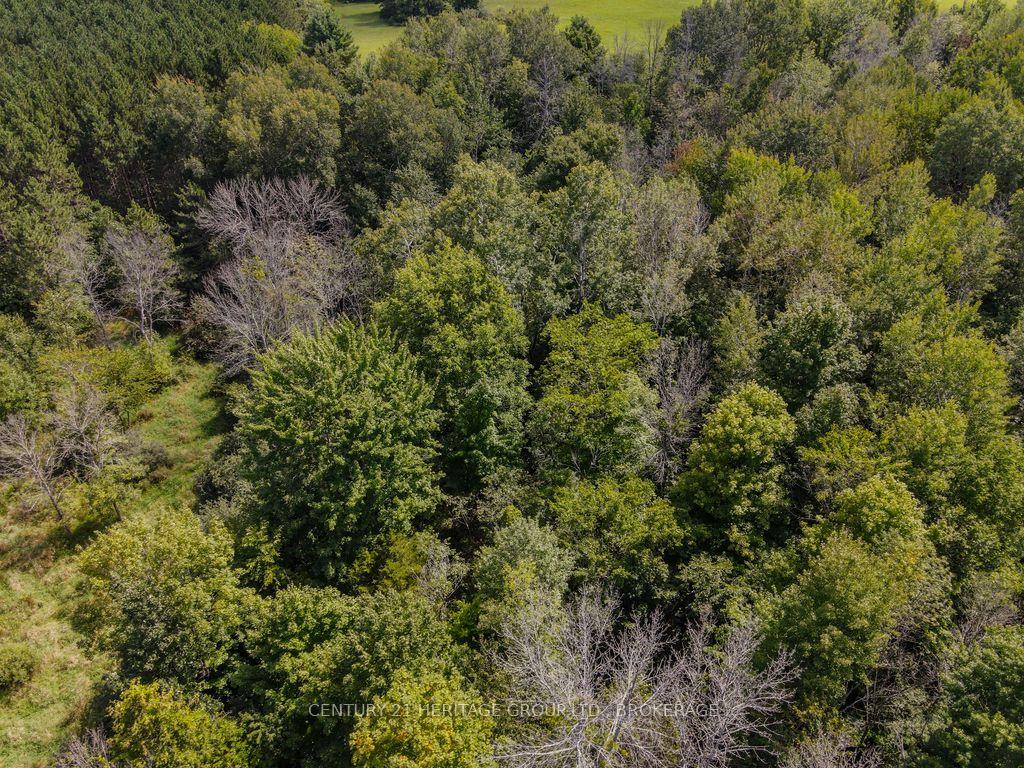 Photo 13 of 817 Powers Road, Tay Valley, Bathurst/Burgess & Sherbrooke (North Burgess) Twp — HOMEH
