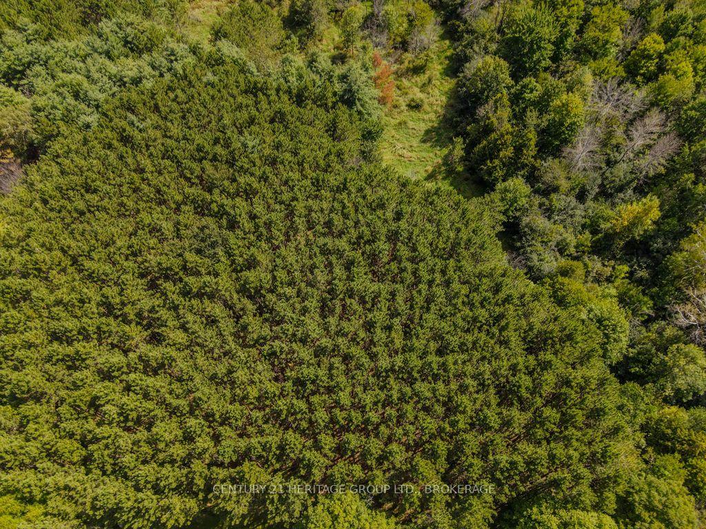 Photo 16 of 817 Powers Road, Tay Valley, Bathurst/Burgess & Sherbrooke (North Burgess) Twp — HOMEH