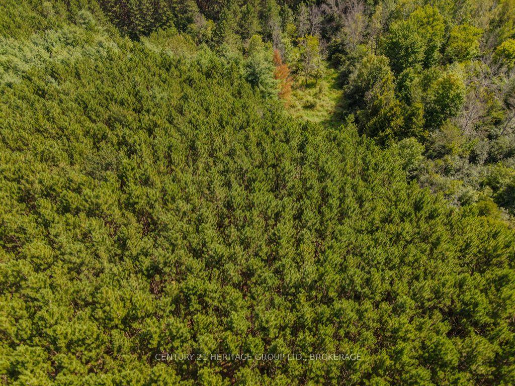Photo 17 of 817 Powers Road, Tay Valley, Bathurst/Burgess & Sherbrooke (North Burgess) Twp — HOMEH