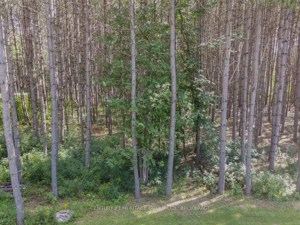 Photo 18 of 817 Powers Road, Tay Valley, Bathurst/Burgess & Sherbrooke (North Burgess) Twp — HOMEH