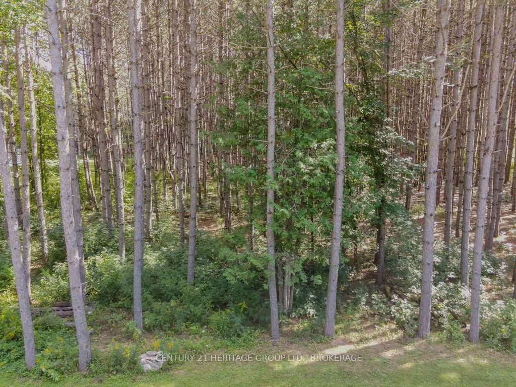 Photo 19 of 817 Powers Road, Tay Valley, Bathurst/Burgess & Sherbrooke (North Burgess) Twp — HOMEH