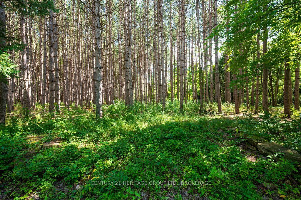 Photo 21 of 817 Powers Road, Tay Valley, Bathurst/Burgess & Sherbrooke (North Burgess) Twp — HOMEH