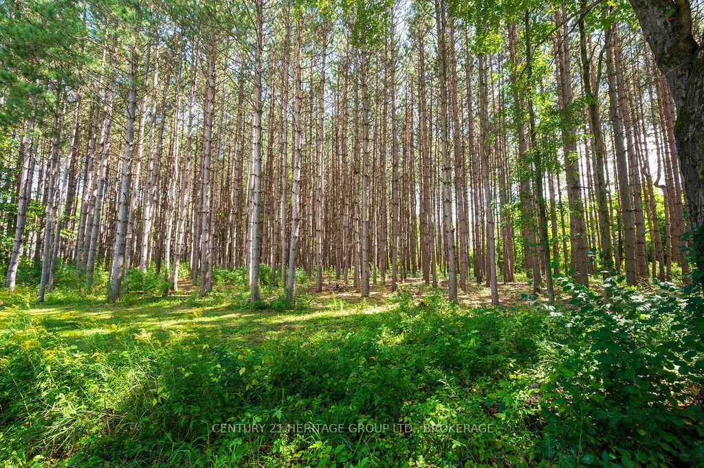 Photo 22 of 817 Powers Road, Tay Valley, Bathurst/Burgess & Sherbrooke (North Burgess) Twp — HOMEH
