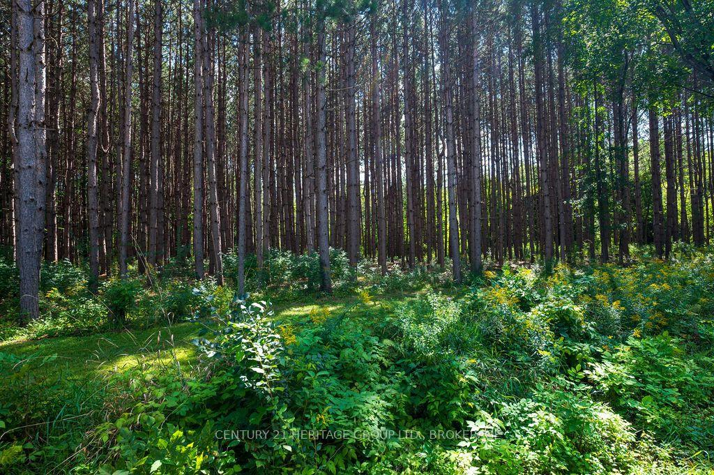 Photo 23 of 817 Powers Road, Tay Valley, Bathurst/Burgess & Sherbrooke (North Burgess) Twp — HOMEH