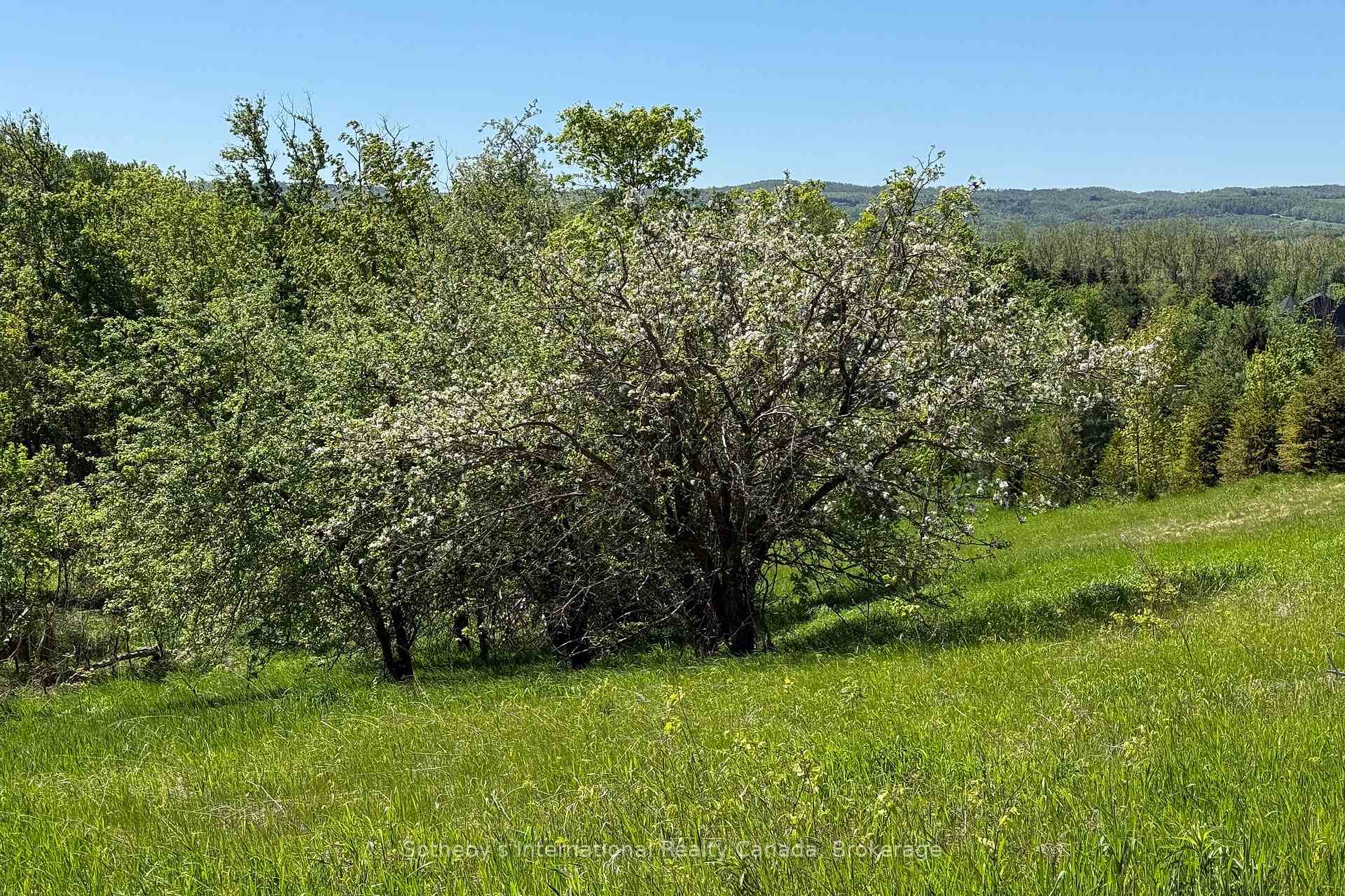 Photo 13 of 958465 7 Line E, Mulmur, Rural Mulmur — HOMEH