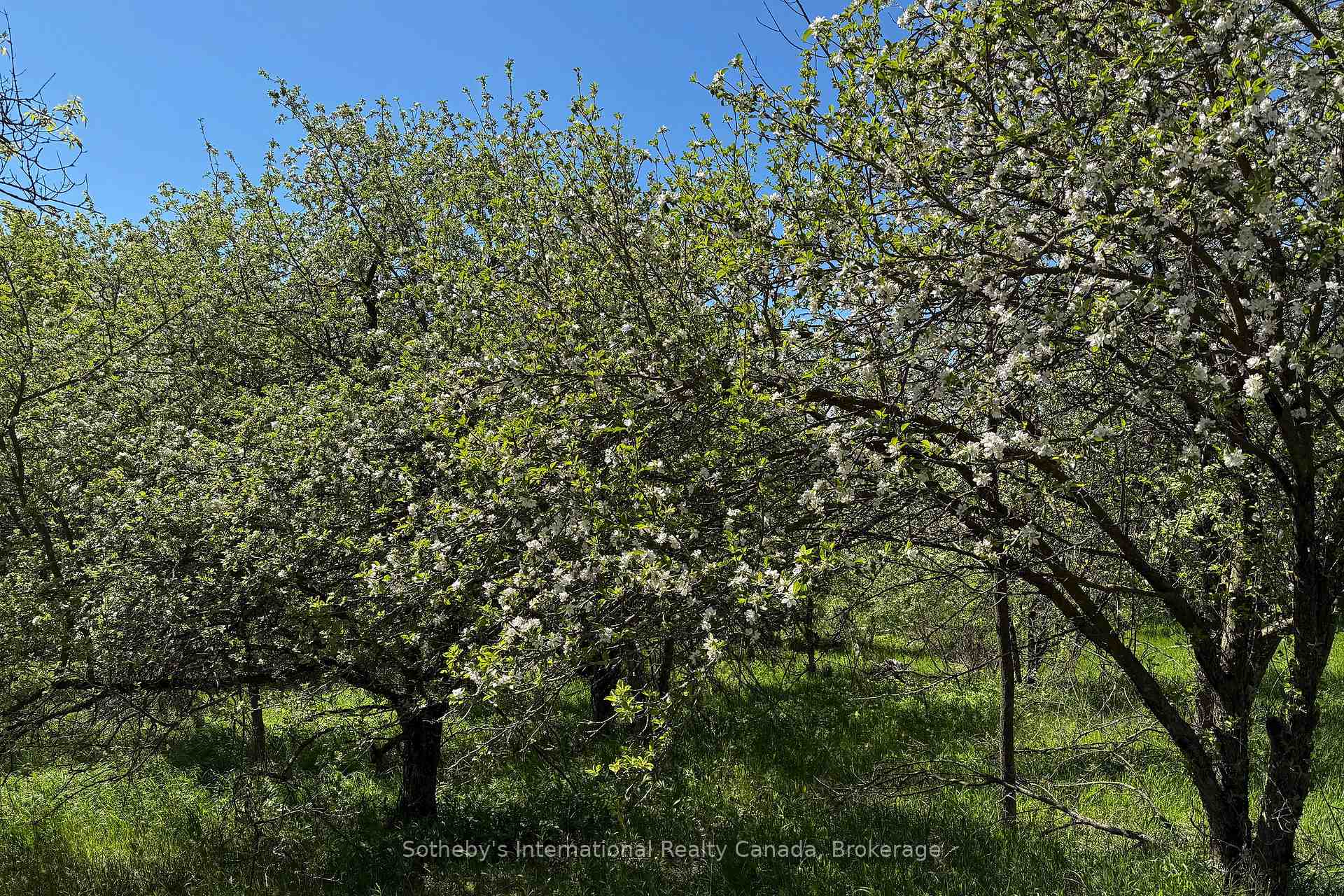 Photo 16 of 958465 7 Line E, Mulmur, Rural Mulmur — HOMEH