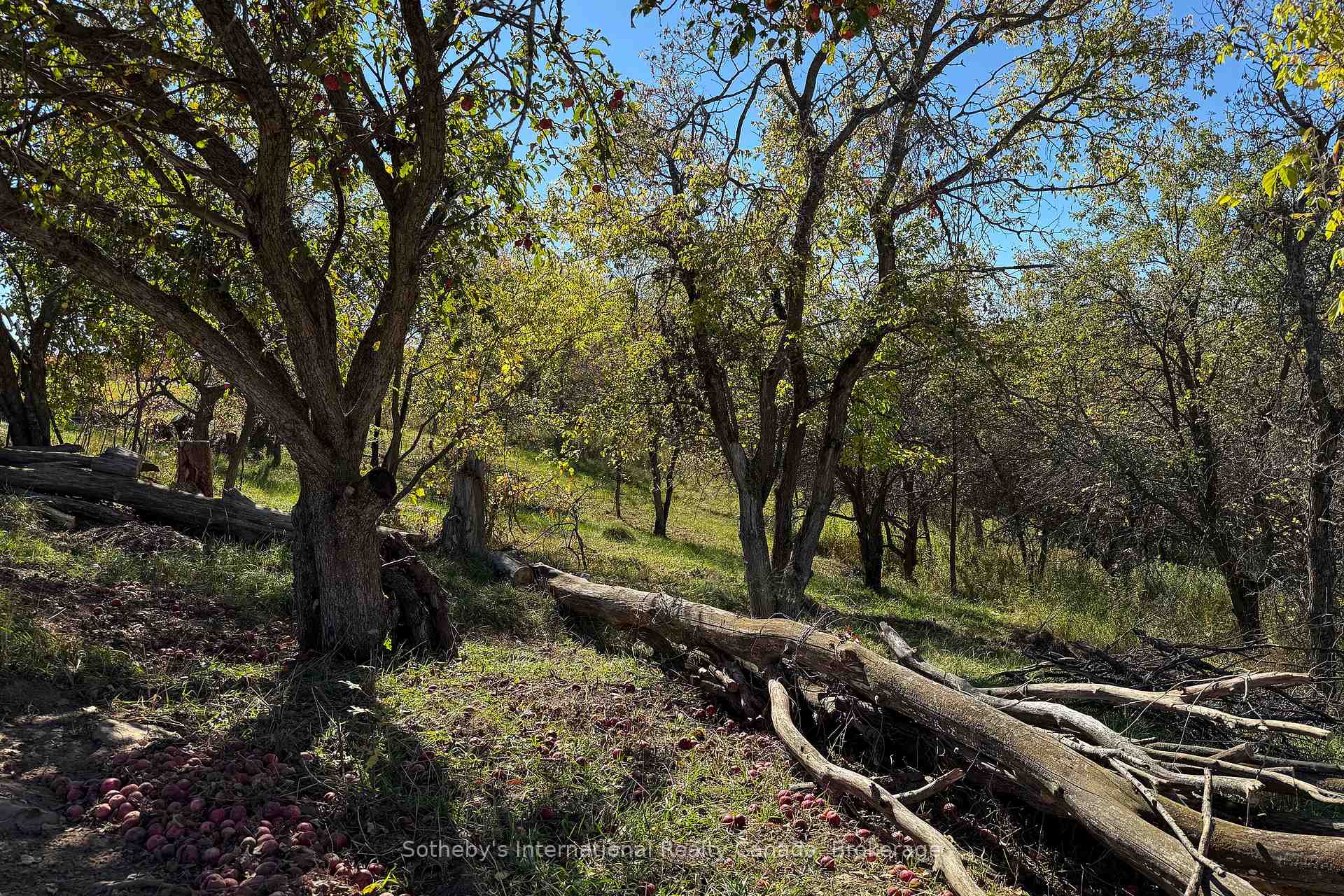 Photo 17 of 958465 7 Line E, Mulmur, Rural Mulmur — HOMEH