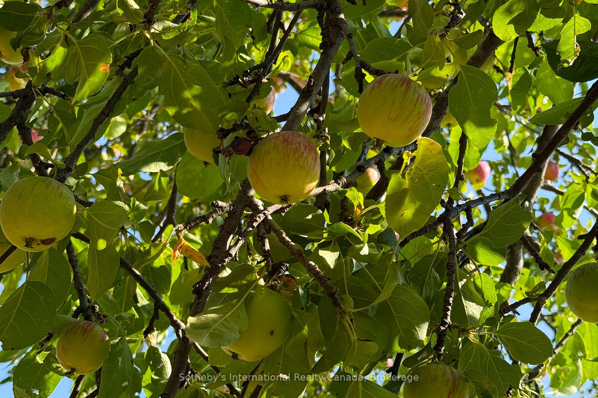 Photo 18 of 958465 7 Line E, Mulmur, Rural Mulmur — HOMEH