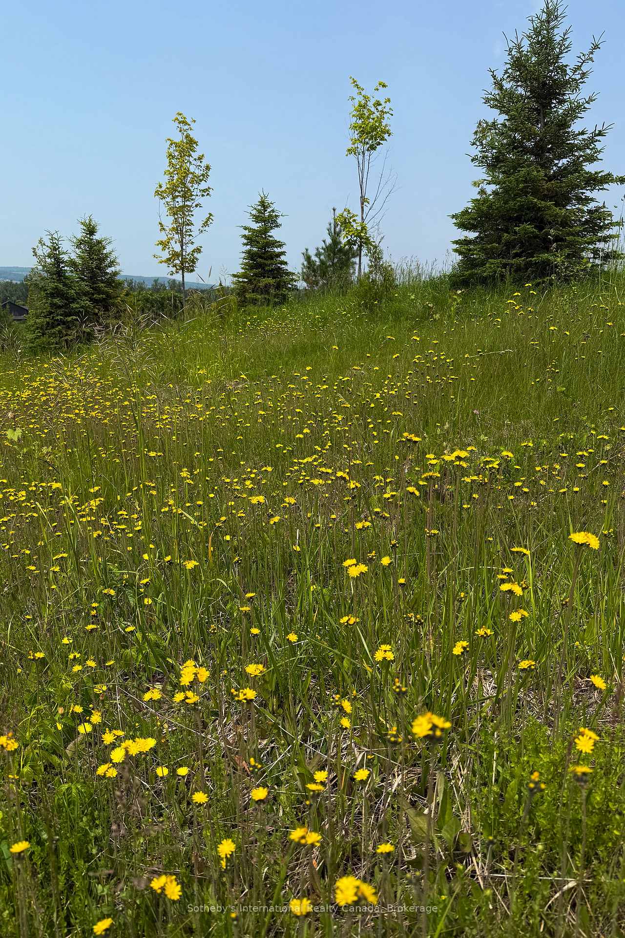 Photo 19 of 958465 7 Line E, Mulmur, Rural Mulmur — HOMEH