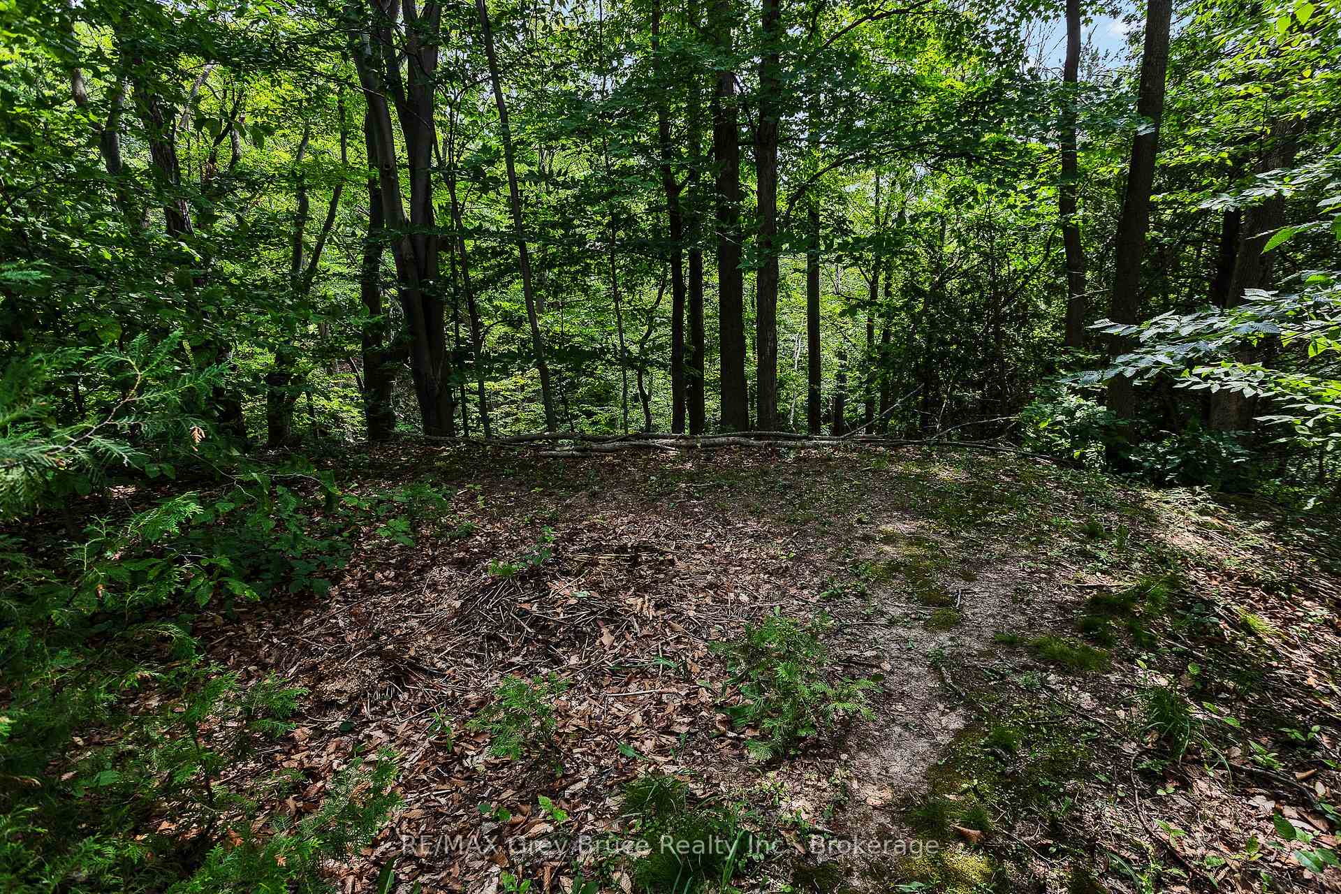 Photo 7 of 336 6th Avenue E, Owen Sound — HOMEH