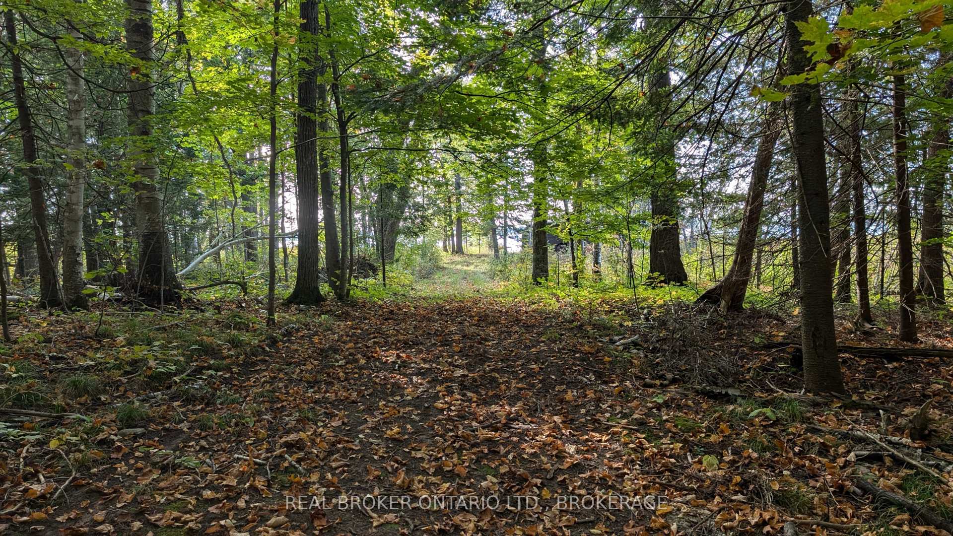 Photo 12 of Concession 3 Road, North Glengarry, North Glengarry (Kenyon) Twp — HOMEH