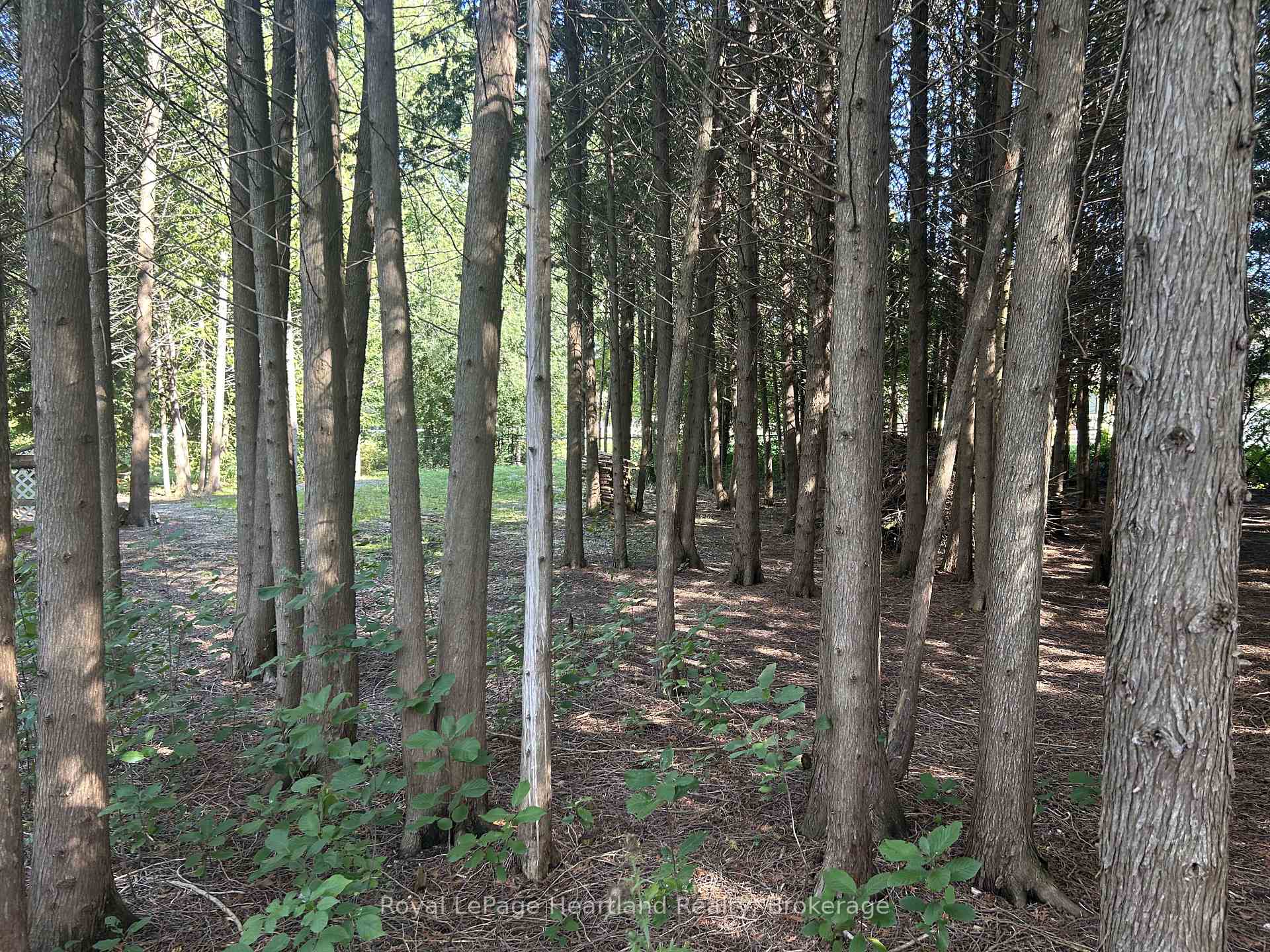 Photo 43 of 90 Mary Street, North Huron, Wingham — HOMEH
