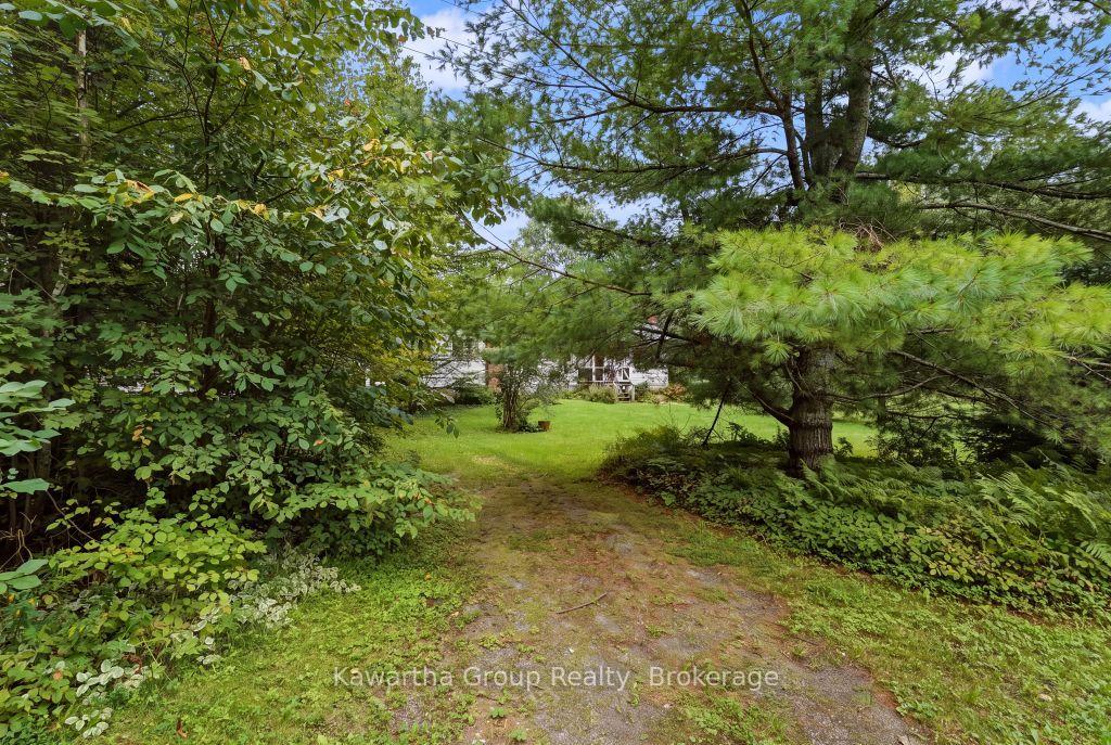 Photo 11 of 15 Cameron Road, Kawartha Lakes, Laxton/Digby/Longford — HOMEH