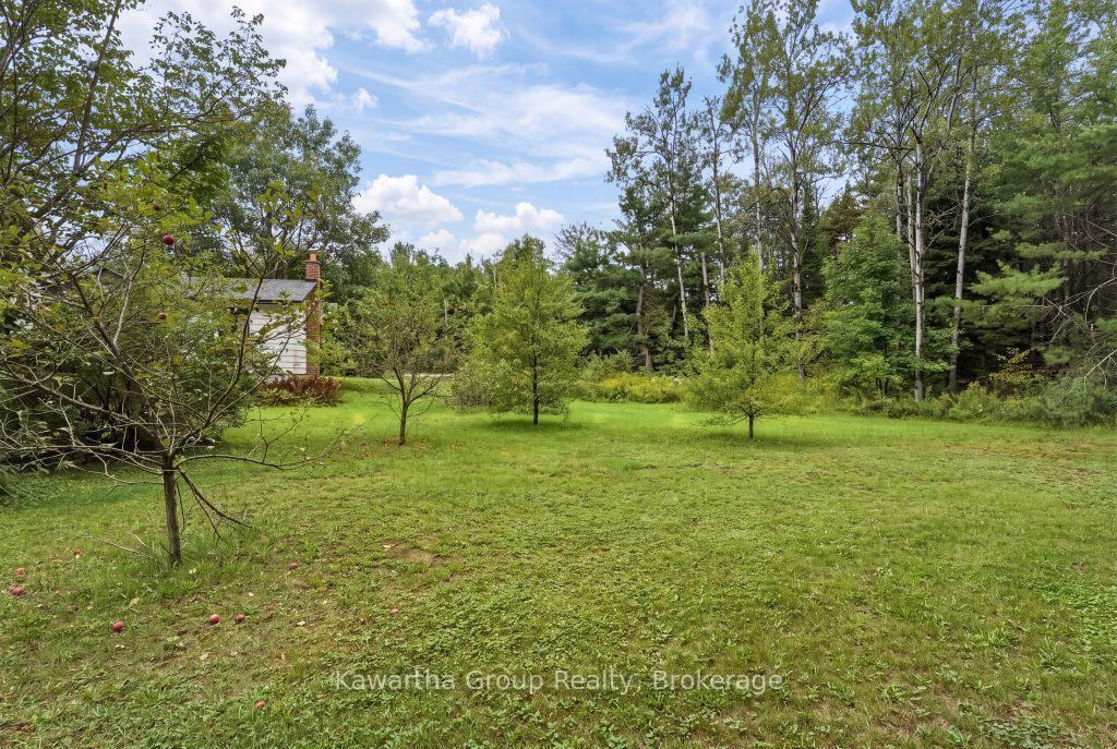 Photo 45 of 15 Cameron Road, Kawartha Lakes, Laxton/Digby/Longford — HOMEH