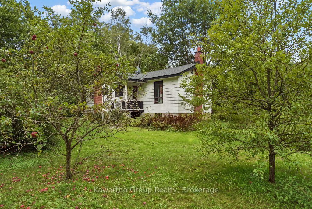 Photo 46 of 15 Cameron Road, Kawartha Lakes, Laxton/Digby/Longford — HOMEH