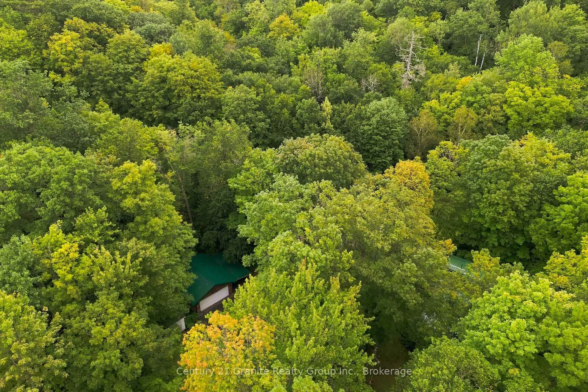 Photo 7 of 1131 Kanawa Lane, Algonquin Highlands, Stanhope — HOMEH