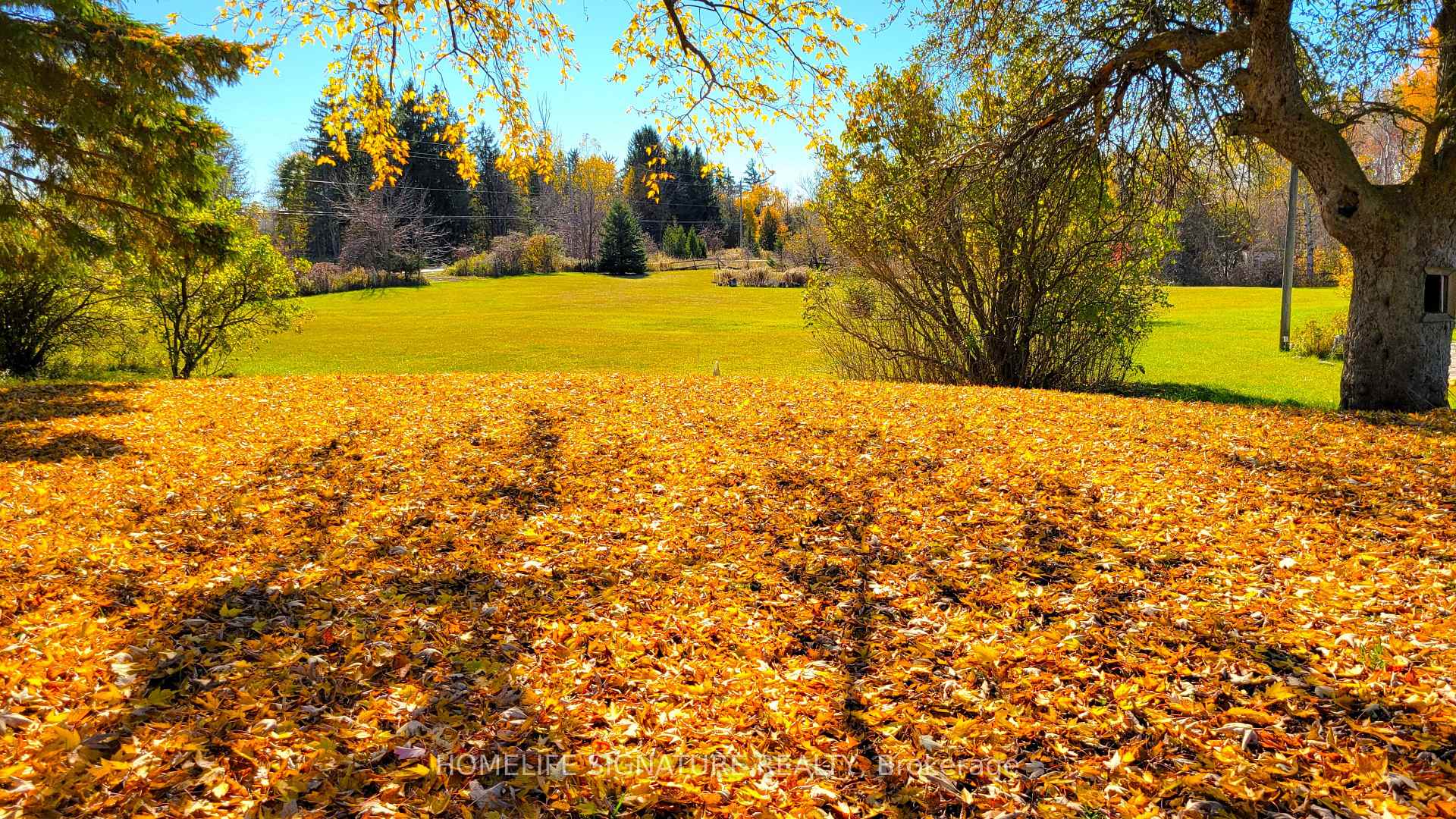 Photo 14 of 5273 25 Side Road, Milton, Rural Nassagaweya — HOMEH
