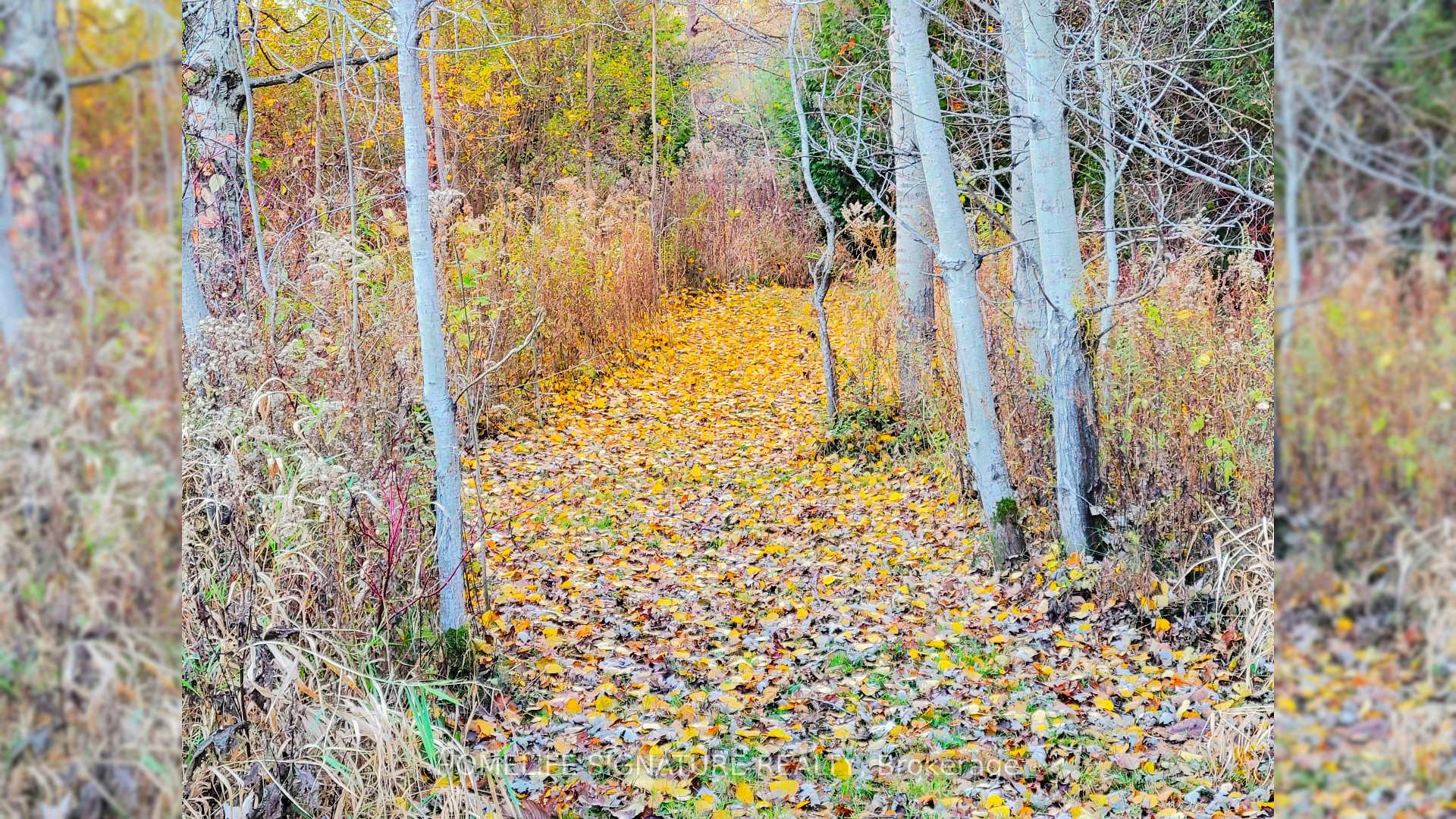Photo 15 of 5273 25 Side Road, Milton, Rural Nassagaweya — HOMEH