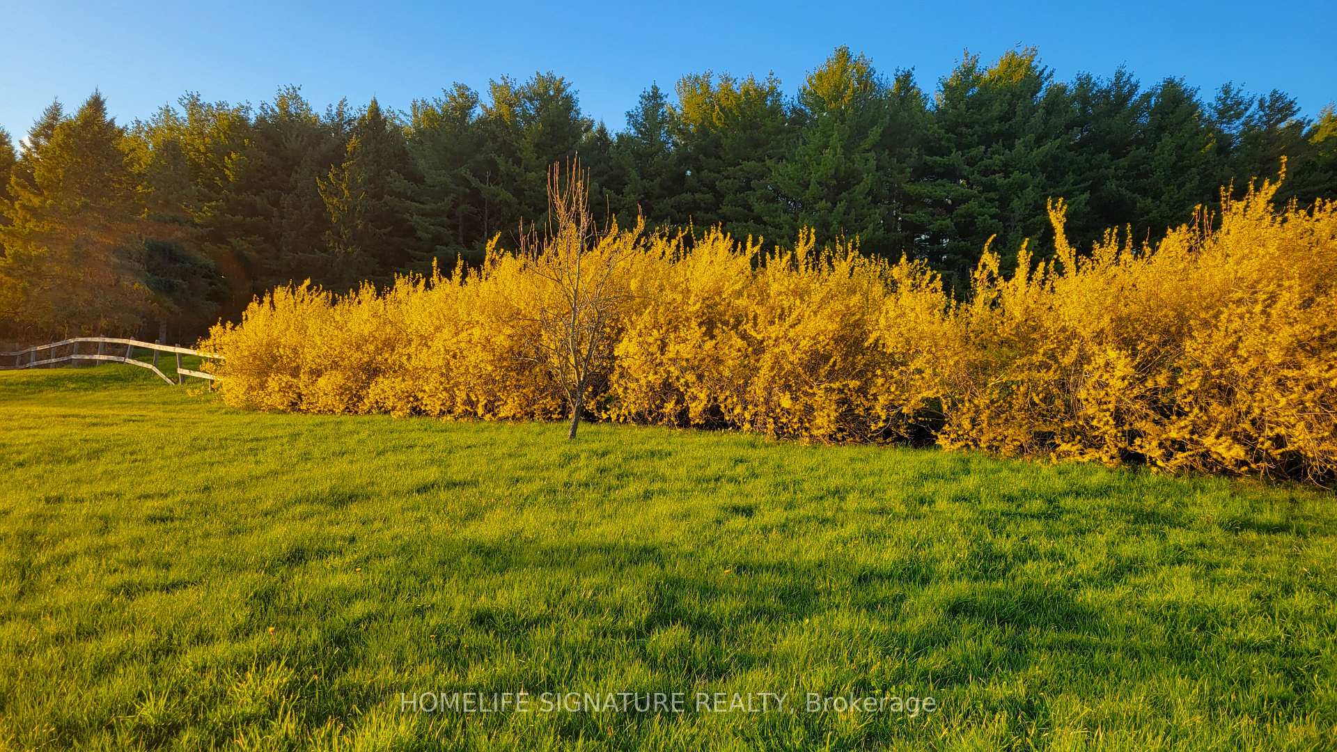 Photo 16 of 5273 25 Side Road, Milton, Rural Nassagaweya — HOMEH