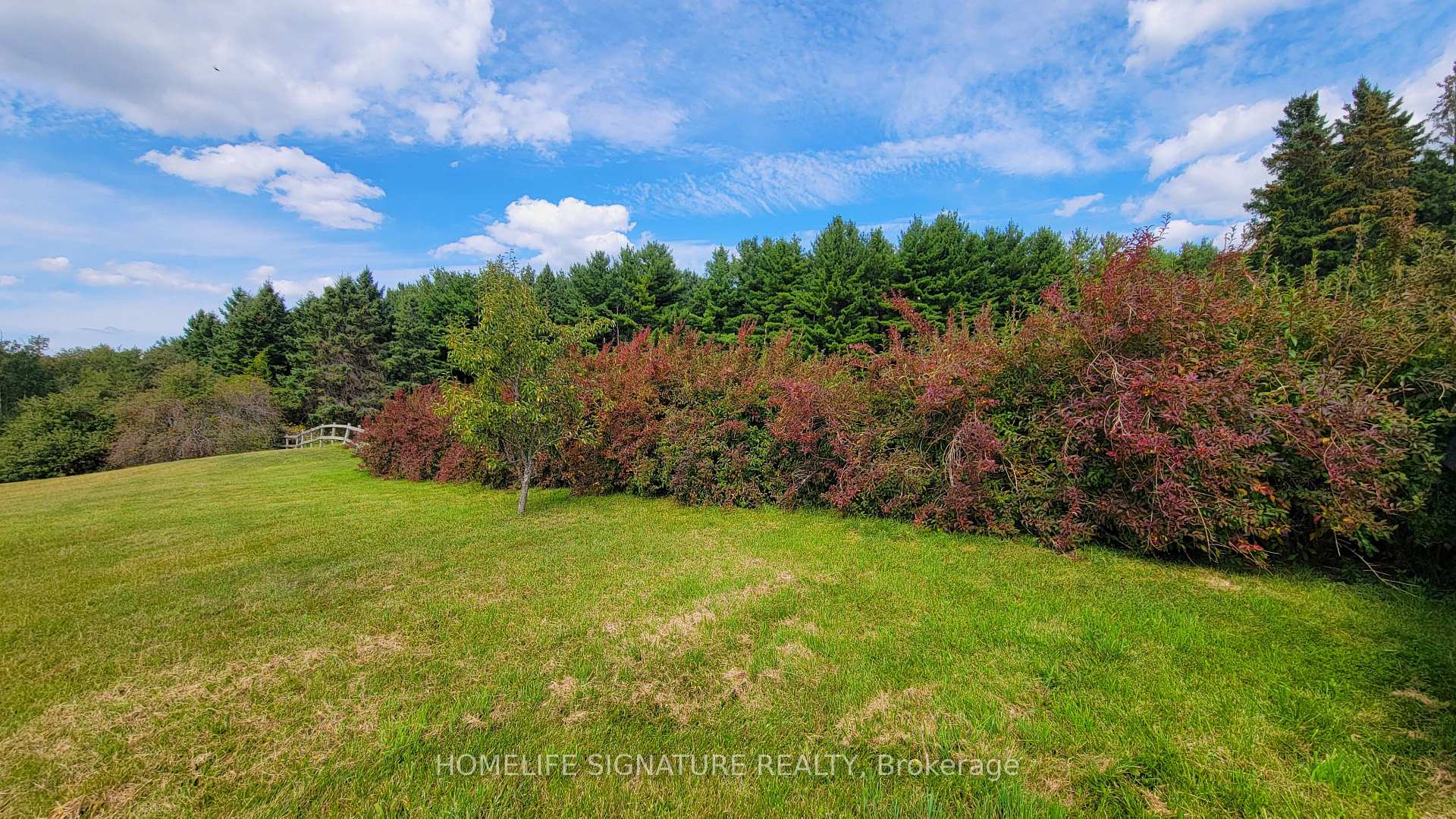 Photo 17 of 5273 25 Side Road, Milton, Rural Nassagaweya — HOMEH