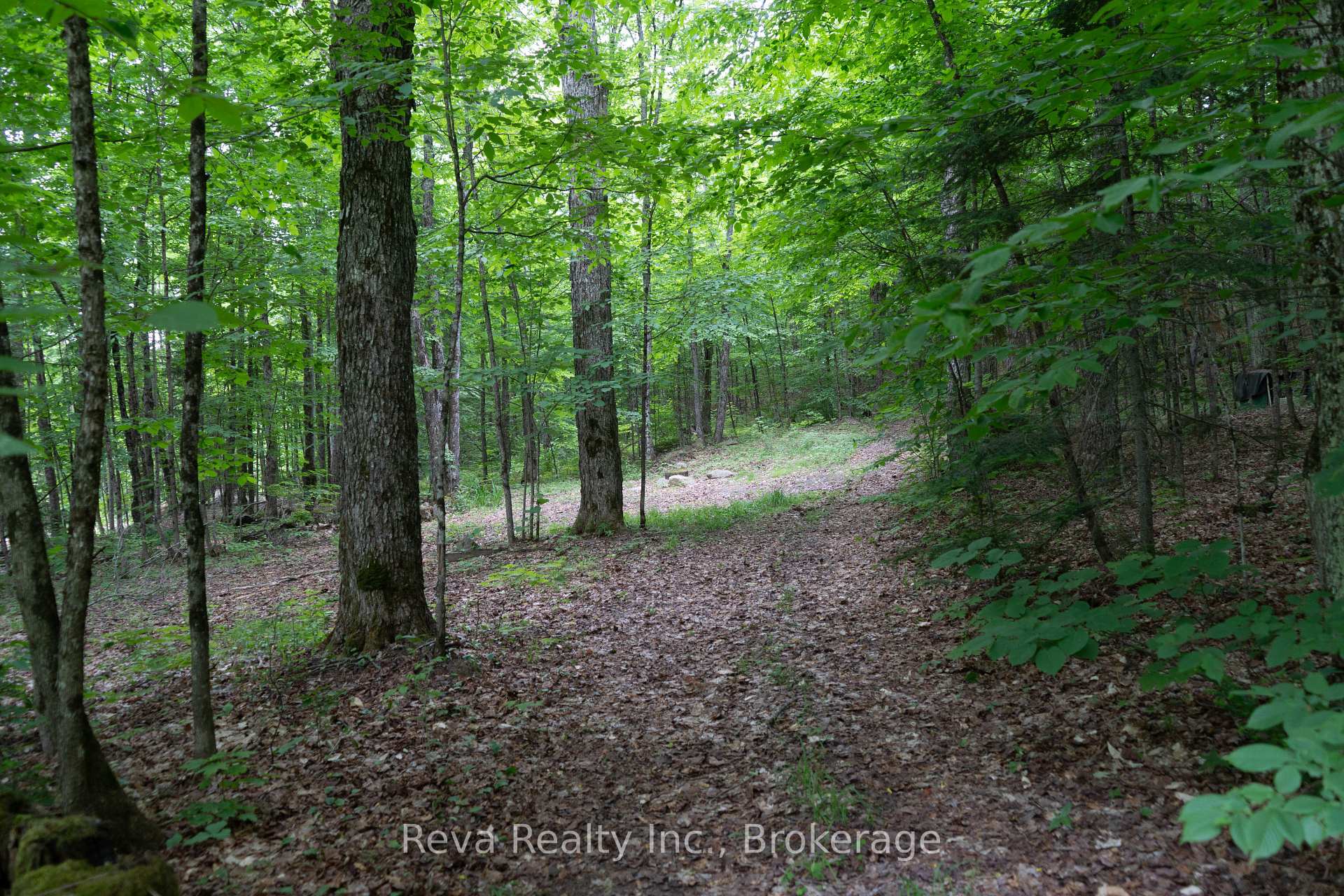 Photo 12 of 219 Elgin Road, Hastings Highlands, McClure Ward — HOMEH
