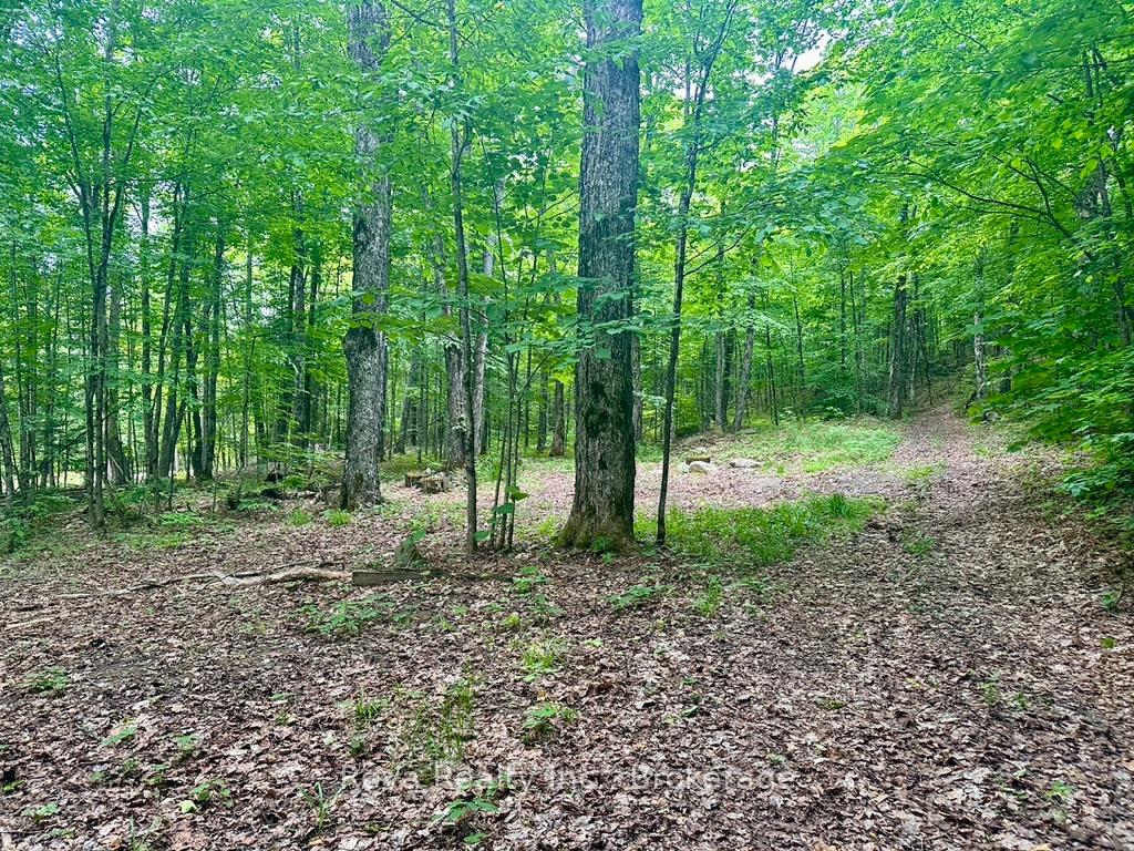 Photo 13 of 219 Elgin Road, Hastings Highlands, McClure Ward — HOMEH