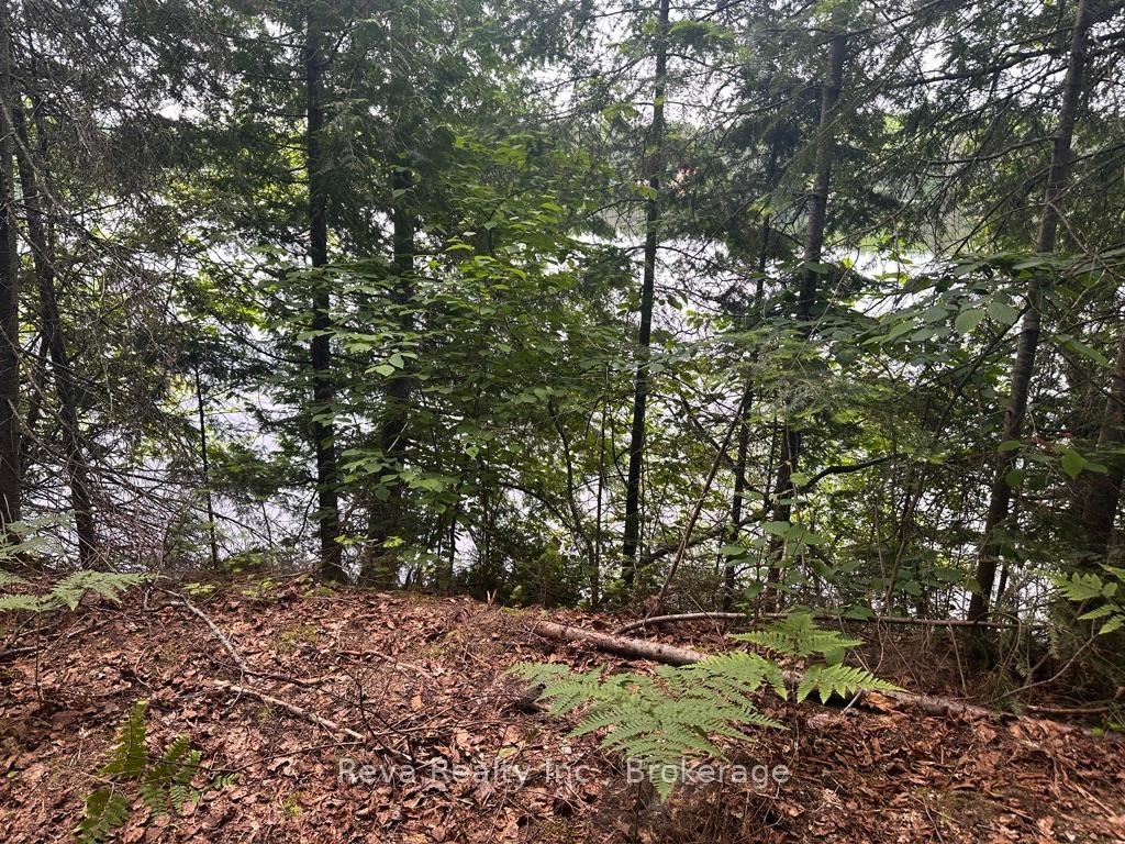 Photo 35 of 219 Elgin Road, Hastings Highlands, McClure Ward — HOMEH