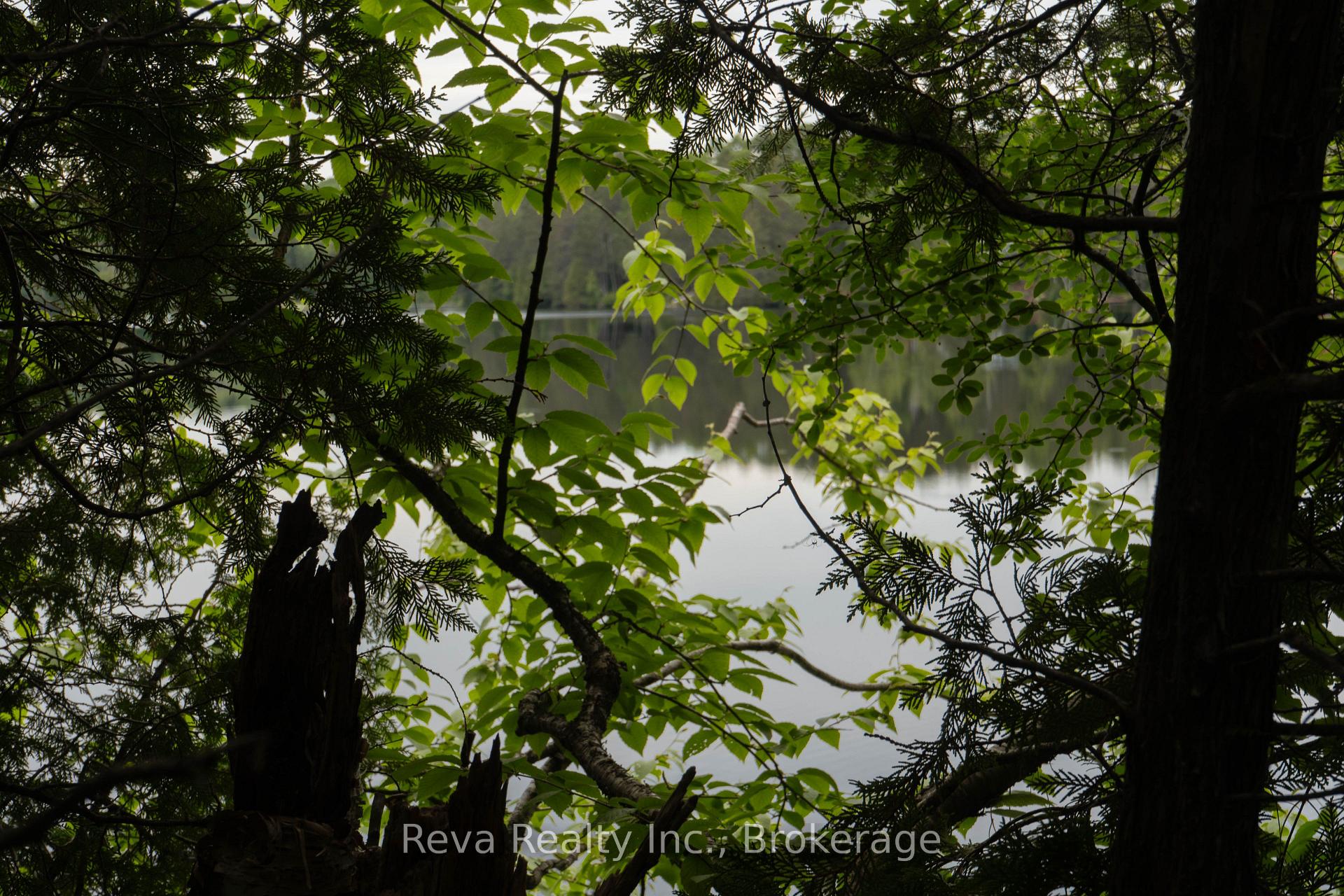 Photo 37 of 219 Elgin Road, Hastings Highlands, McClure Ward — HOMEH