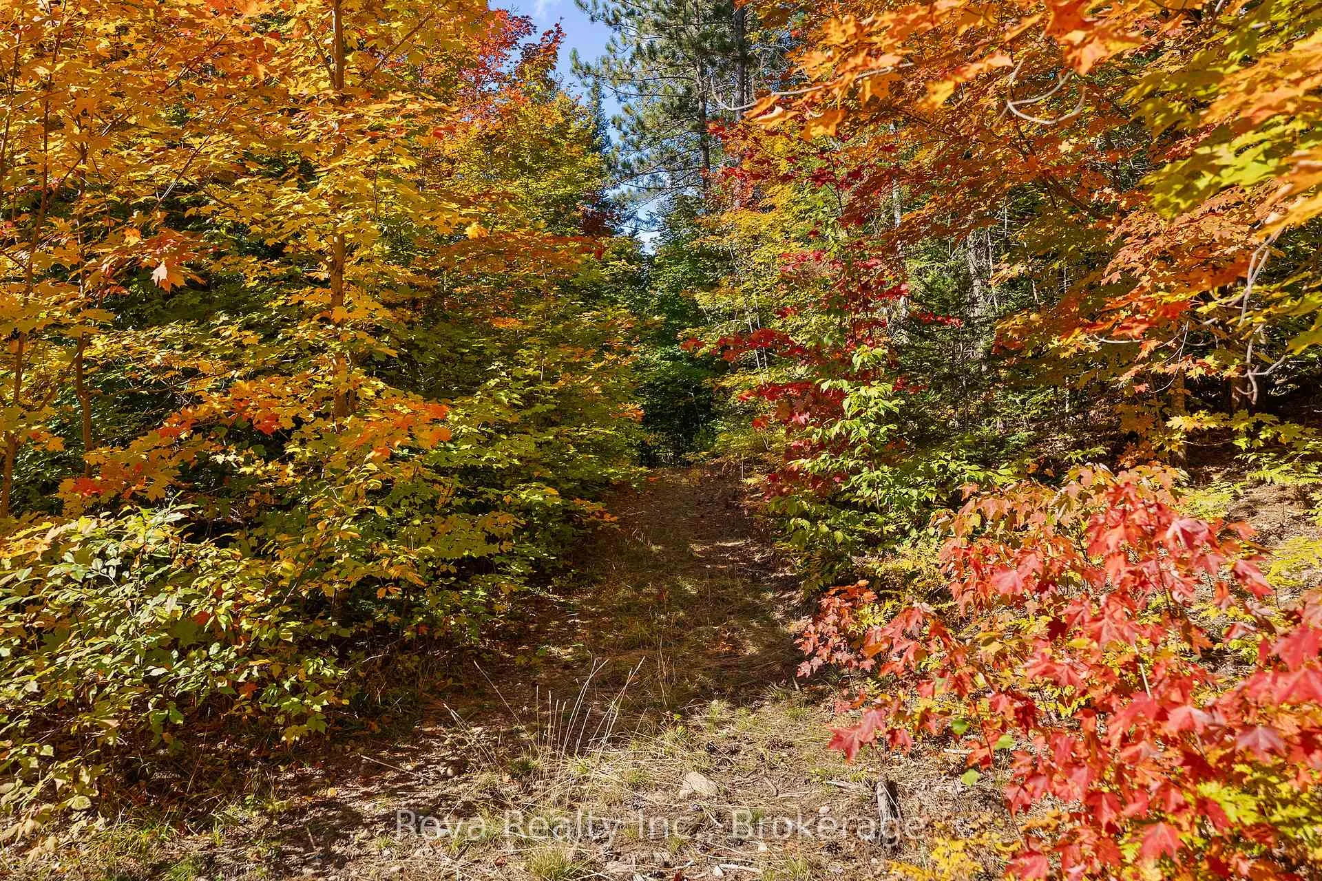 Photo 27 of 219 Elgin Road, Hastings Highlands, McClure Ward — HOMEH