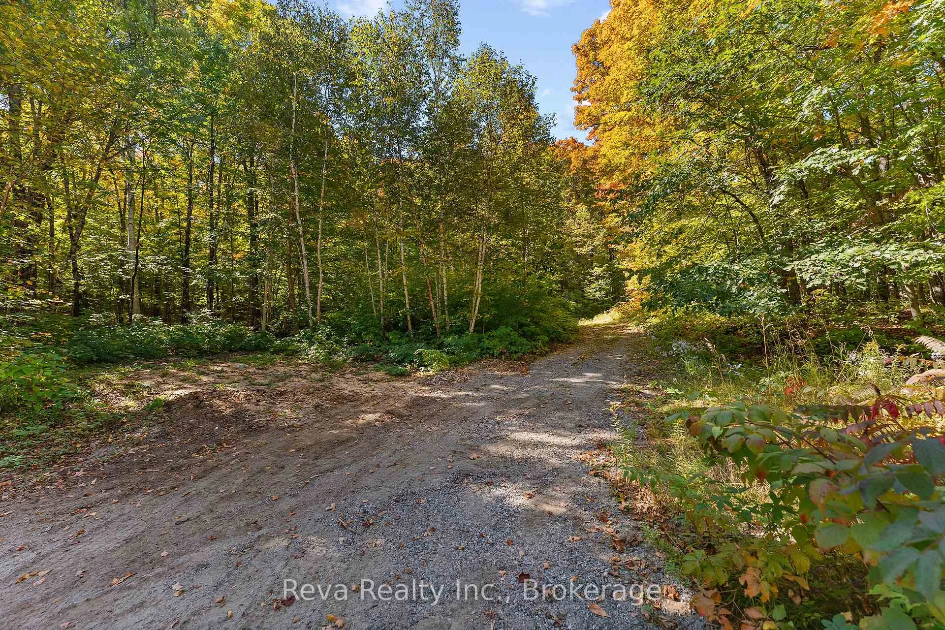Photo 45 of 219 Elgin Road, Hastings Highlands, McClure Ward — HOMEH