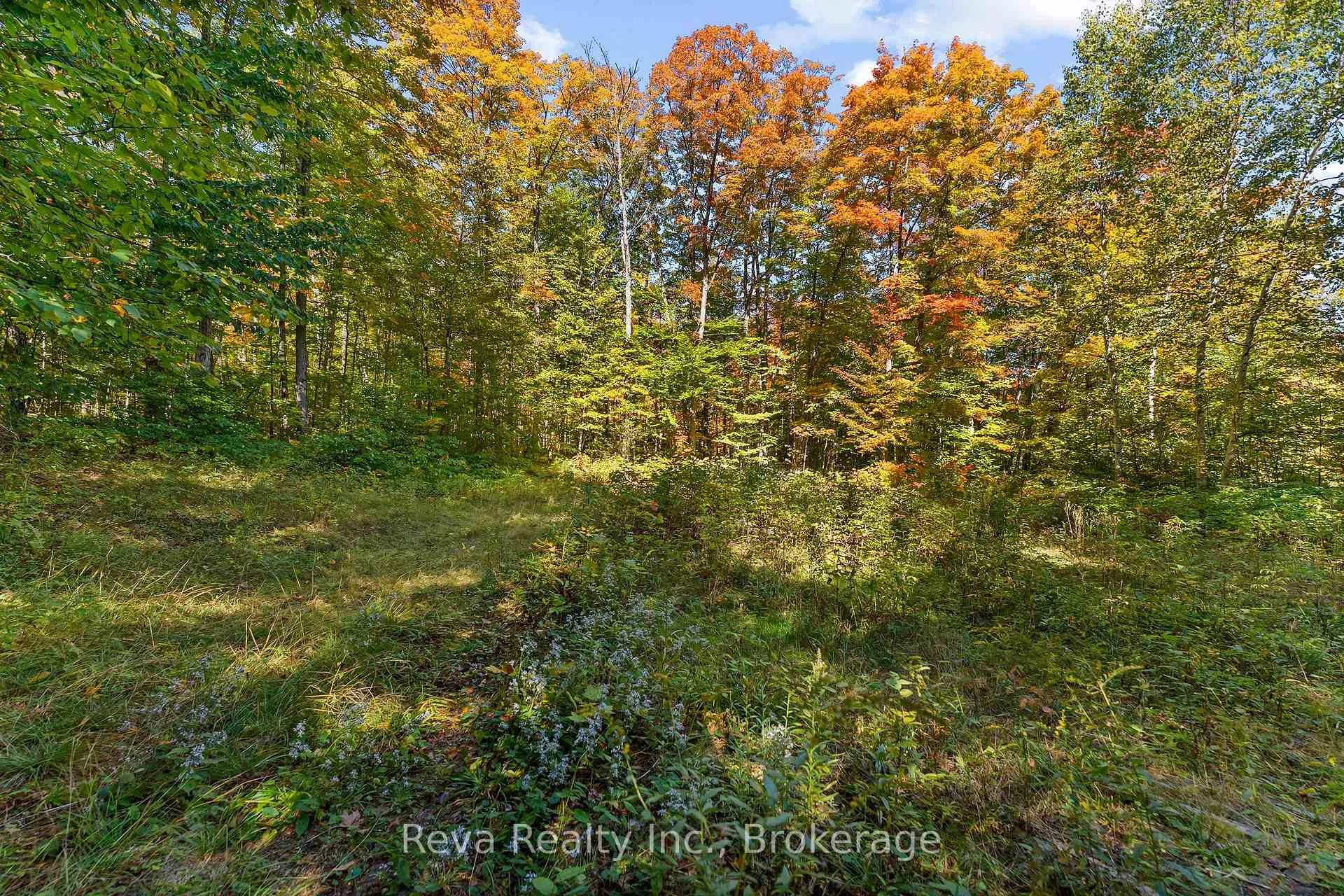 Photo 46 of 219 Elgin Road, Hastings Highlands, McClure Ward — HOMEH