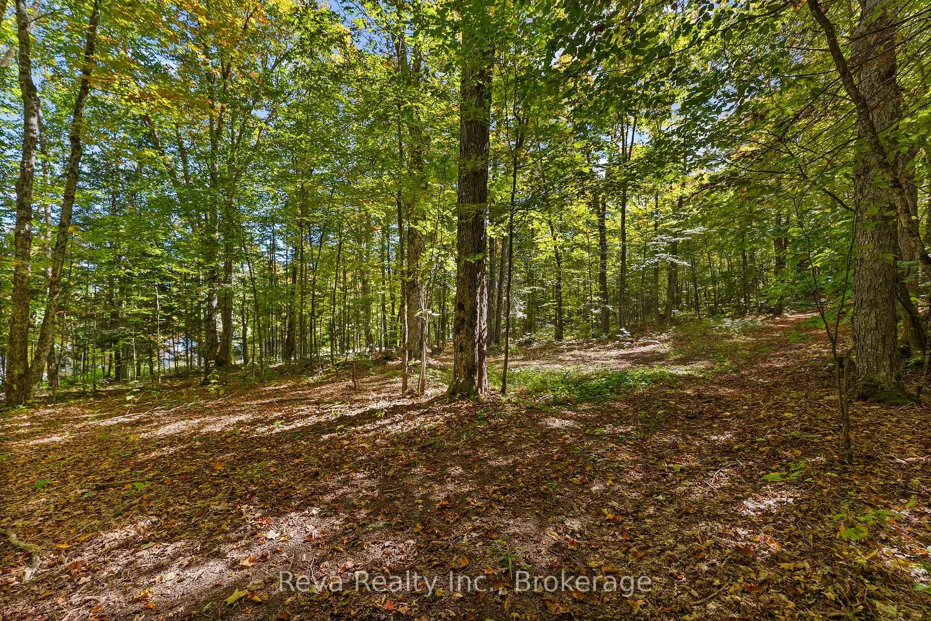 Photo 47 of 219 Elgin Road, Hastings Highlands, McClure Ward — HOMEH