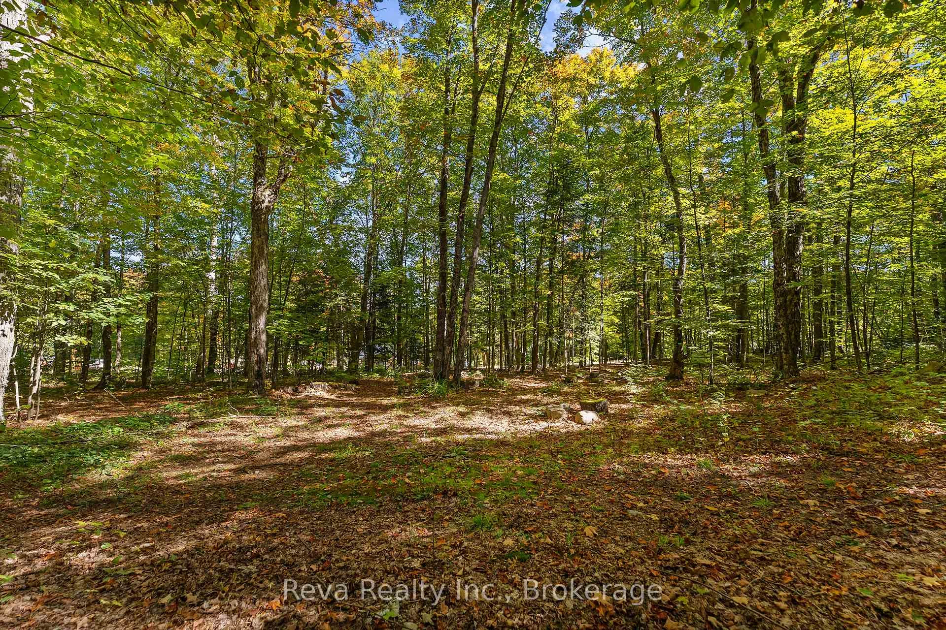 Photo 49 of 219 Elgin Road, Hastings Highlands, McClure Ward — HOMEH
