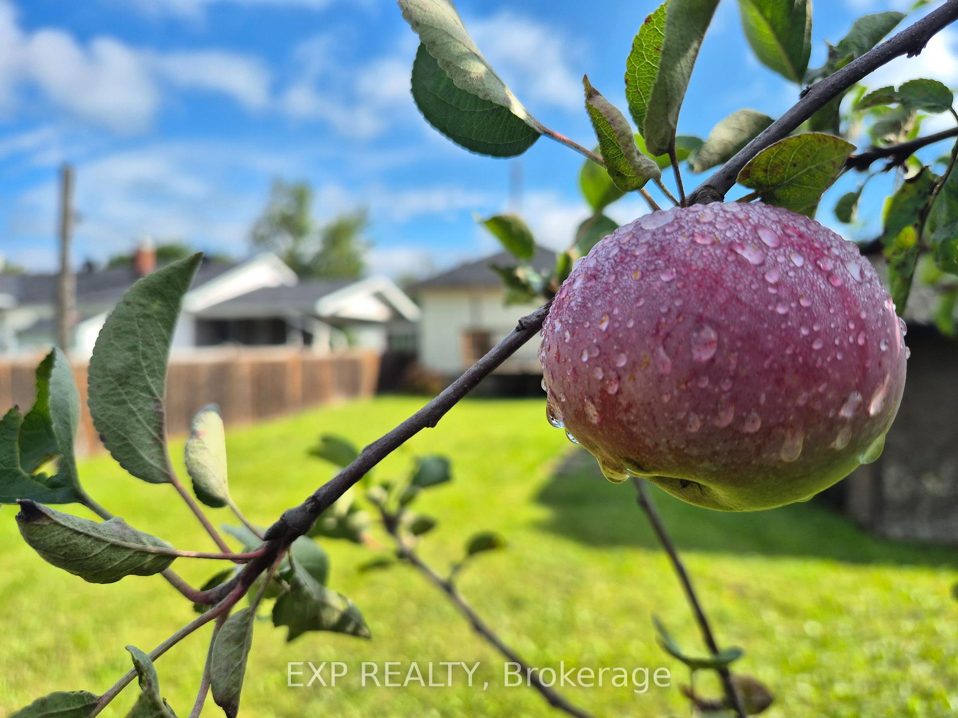 Photo 6 of 170 June Street, Renfrew, Renfrew — HOMEH